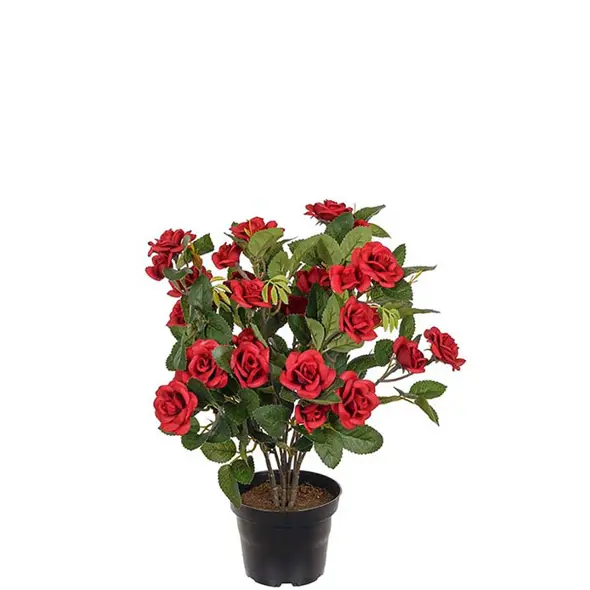 Gervi Rós í potti h30cm rauð - Blómaval