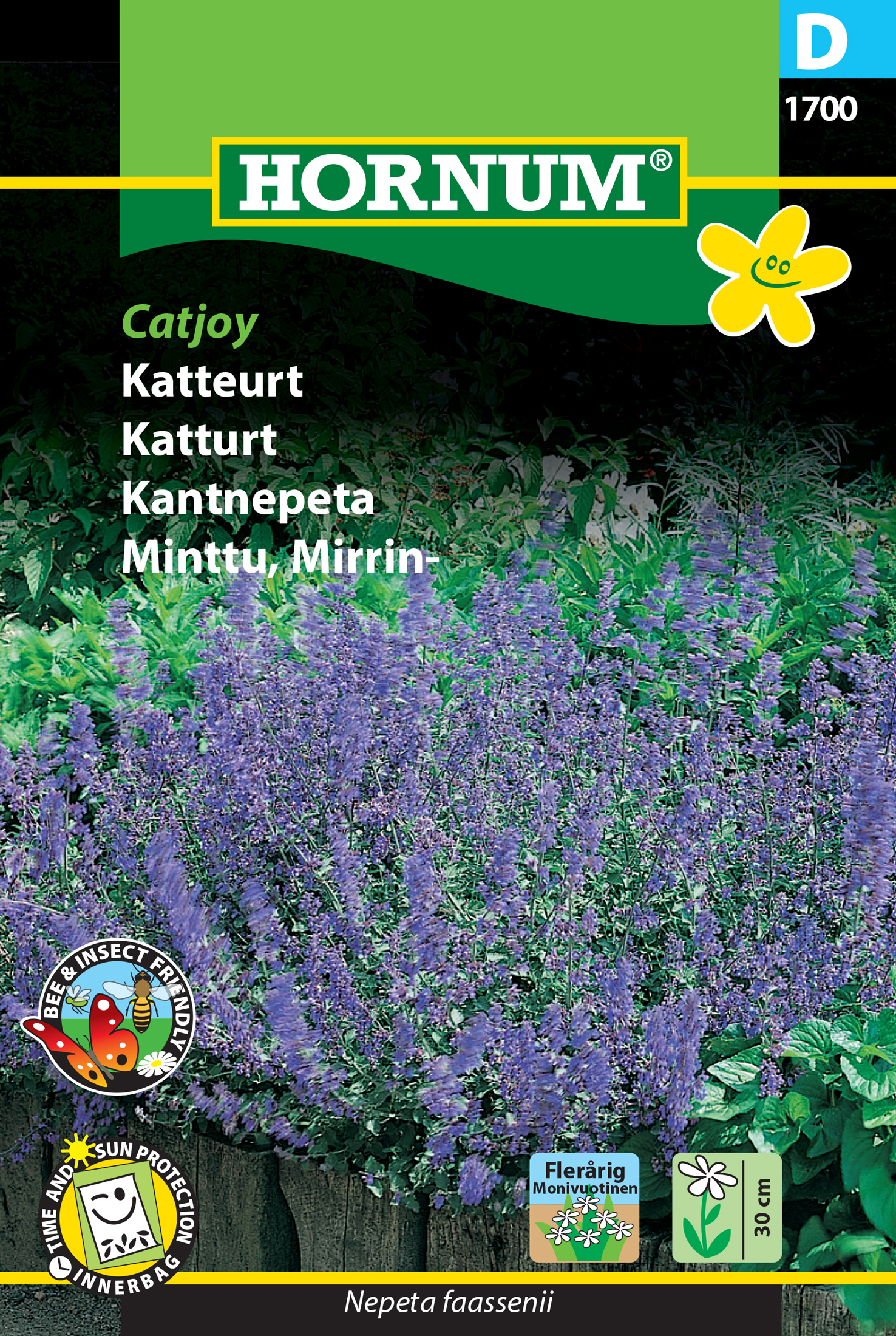 Fræ Garðanípa Nepeta faassenii Catjoy