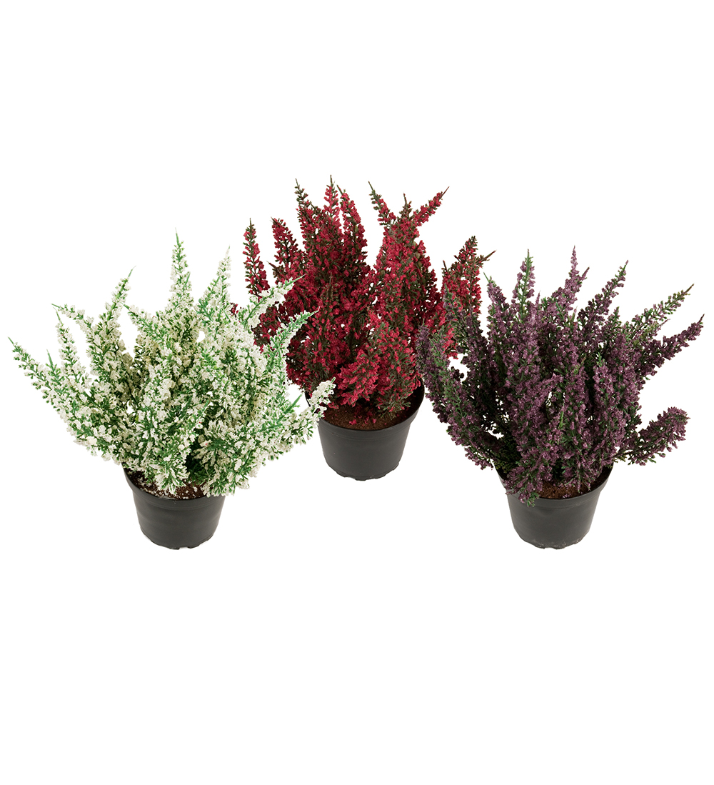 GERVI ERIKA 28CM MIX