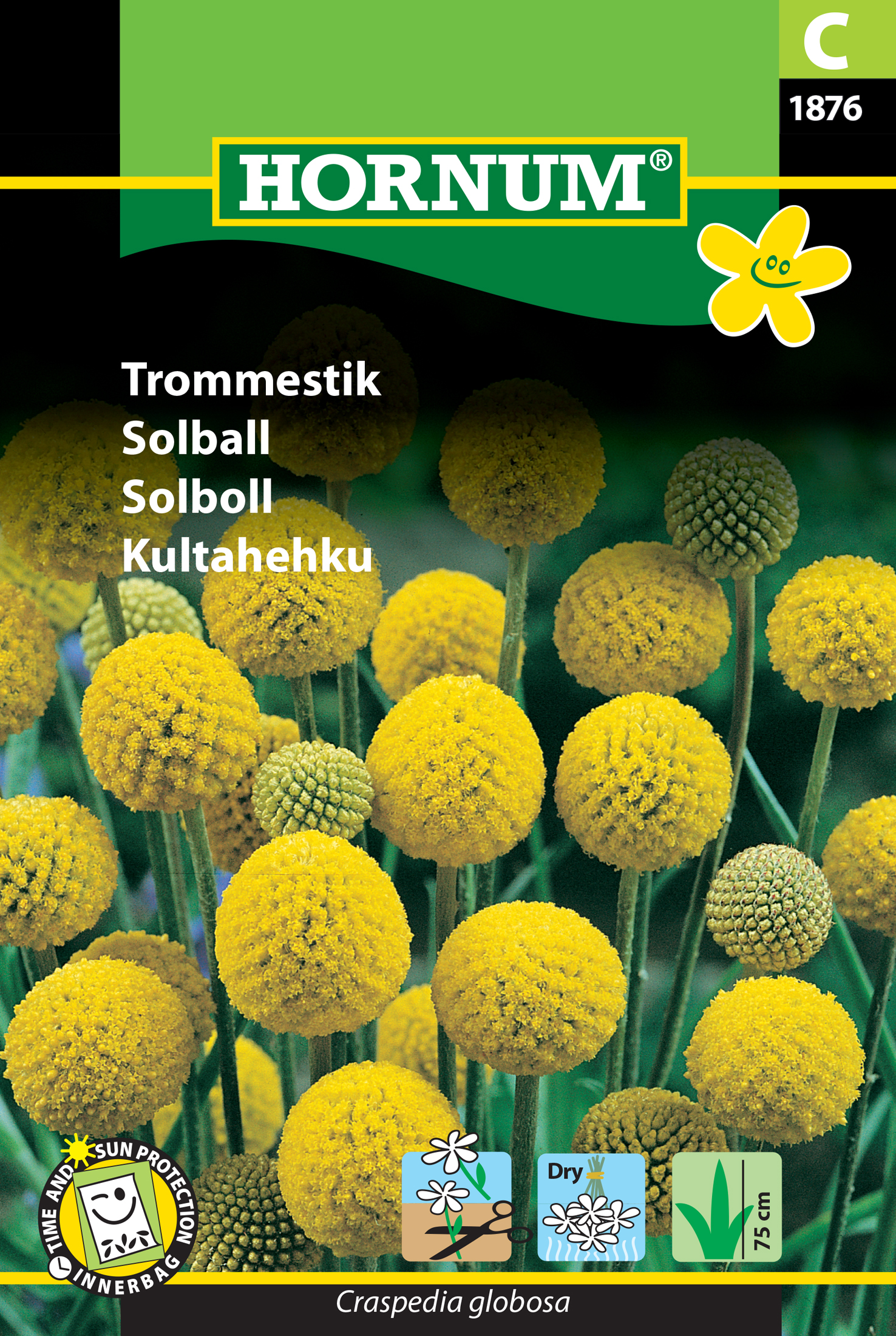 Fræ Sólklumba Craspedia globosa
