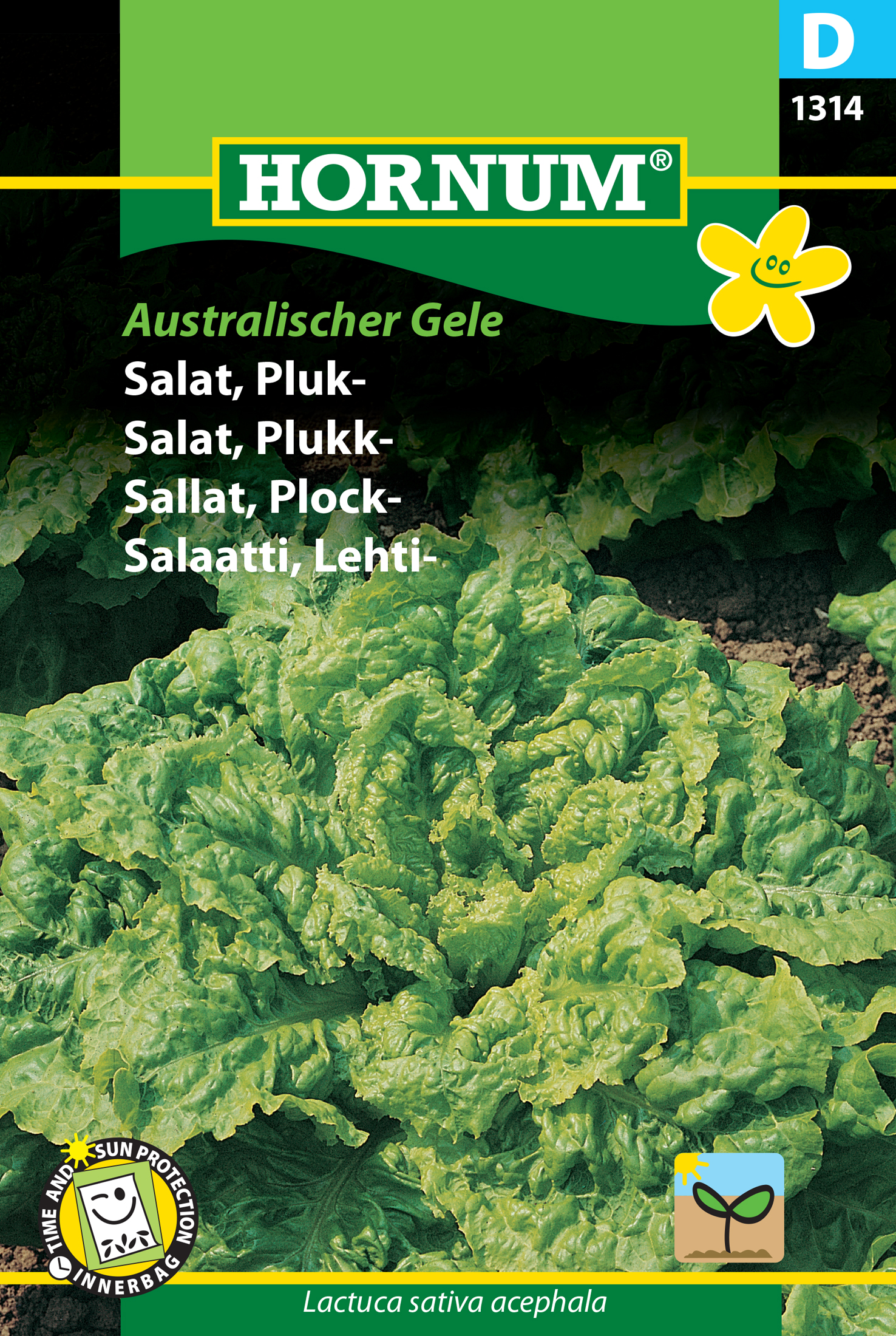 Fræ Höfuðsalat Lactuca sativa acephala Australischer Gele