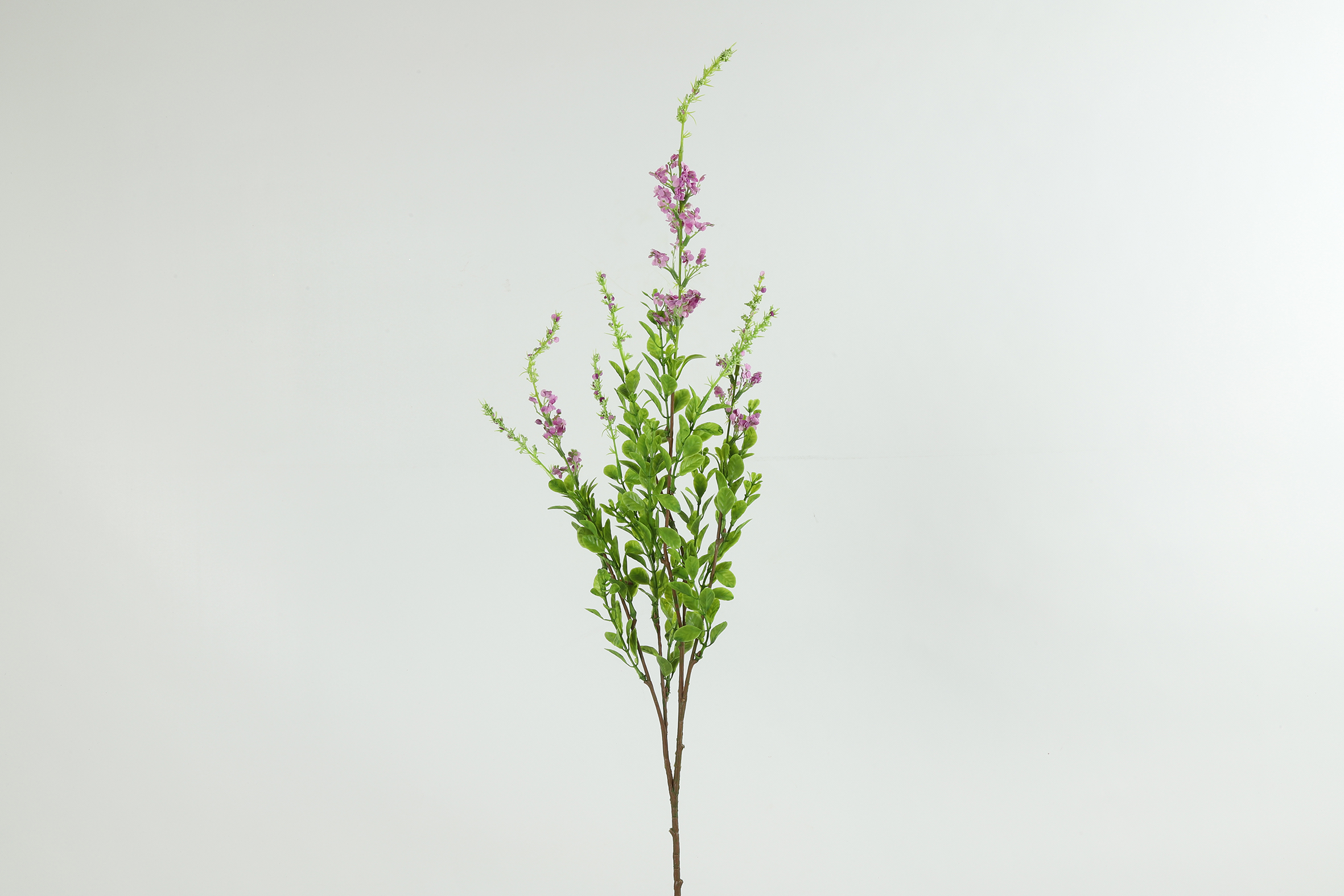 Gervi Lippia polystachya 83cm fjólublá