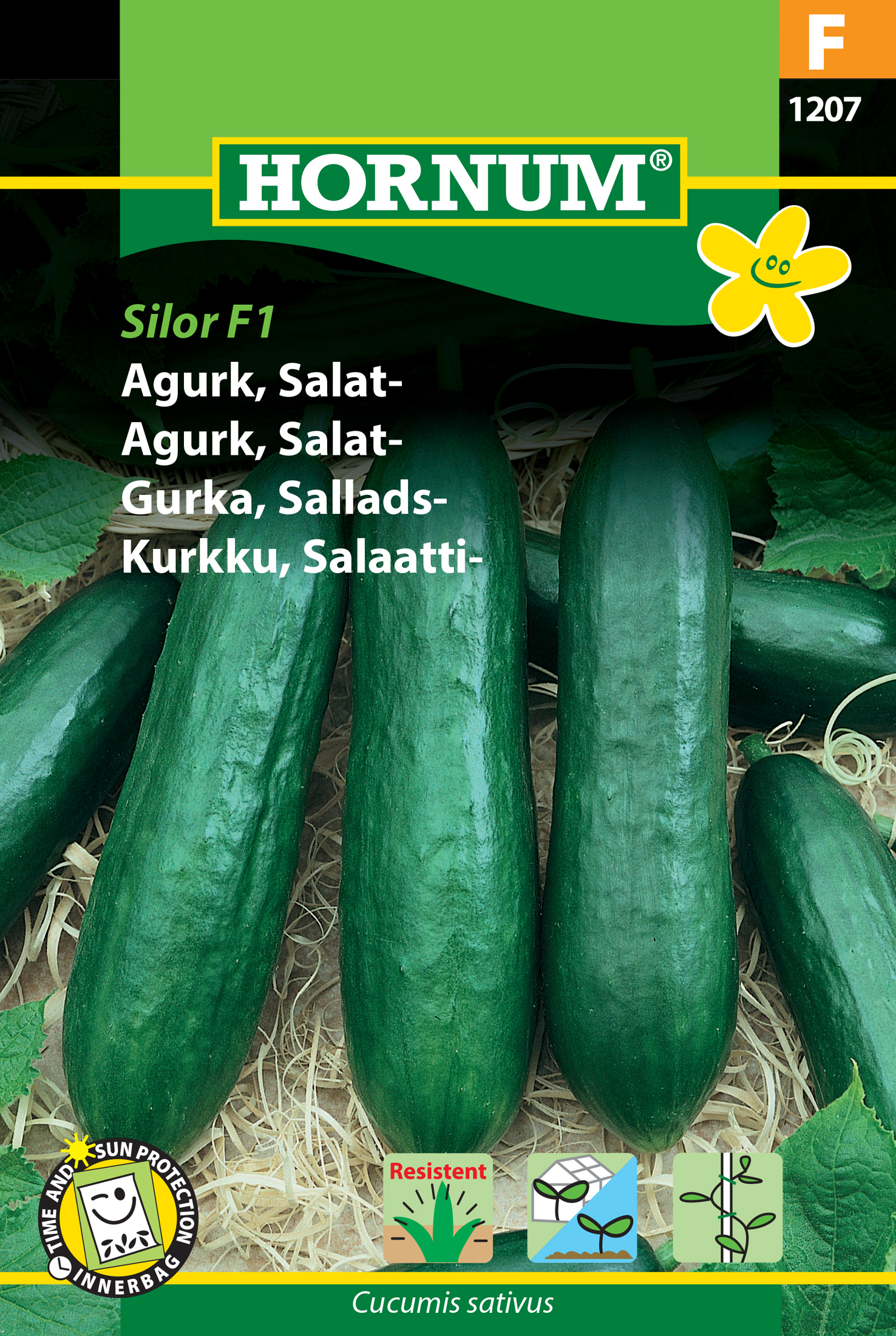 Fræ Agúrka Cucumis sativus Silor F1