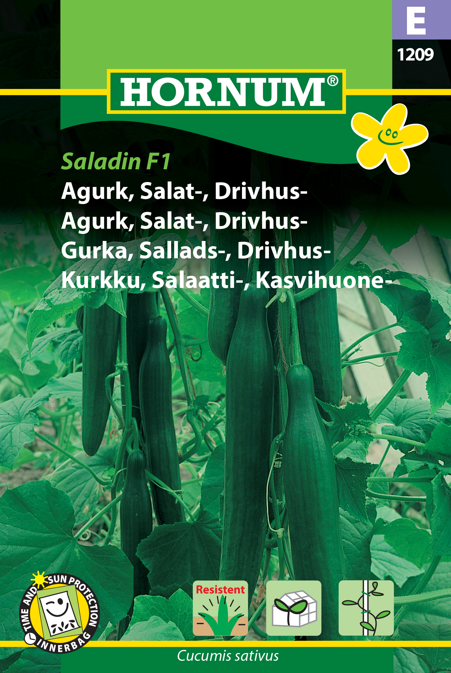 Fræ Agúrka Cucumis sativus Saladin F1