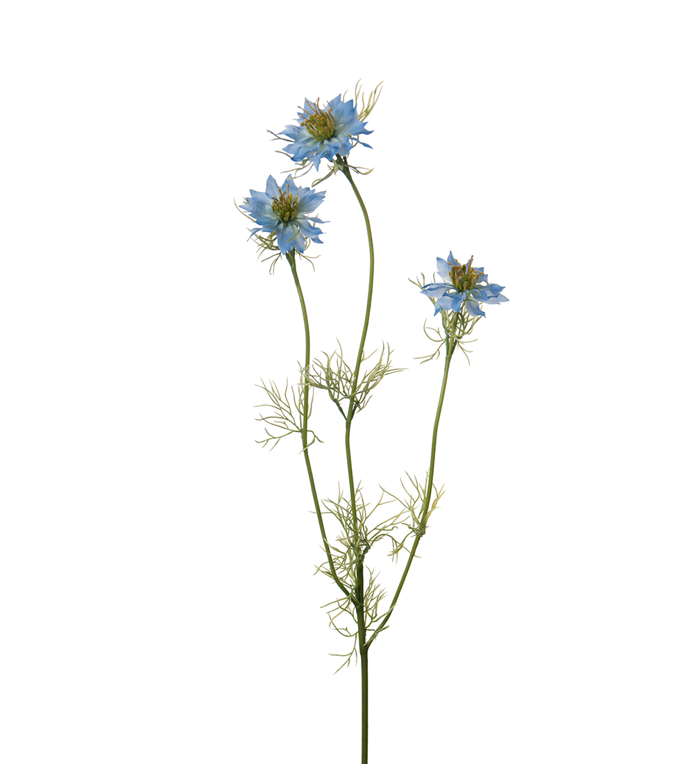 Gervi Nigella 60cm blá