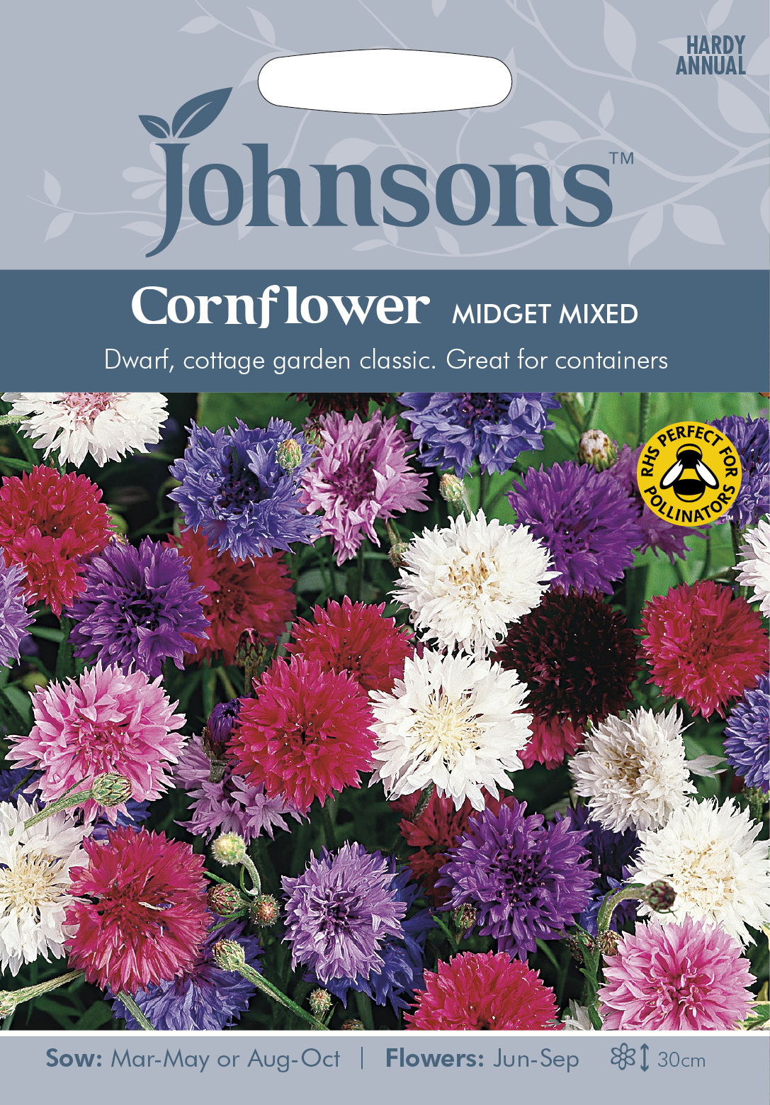 Fræ Cornflower Midged Mixed