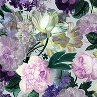 Servíettur Stewo Aidana 33*33cm