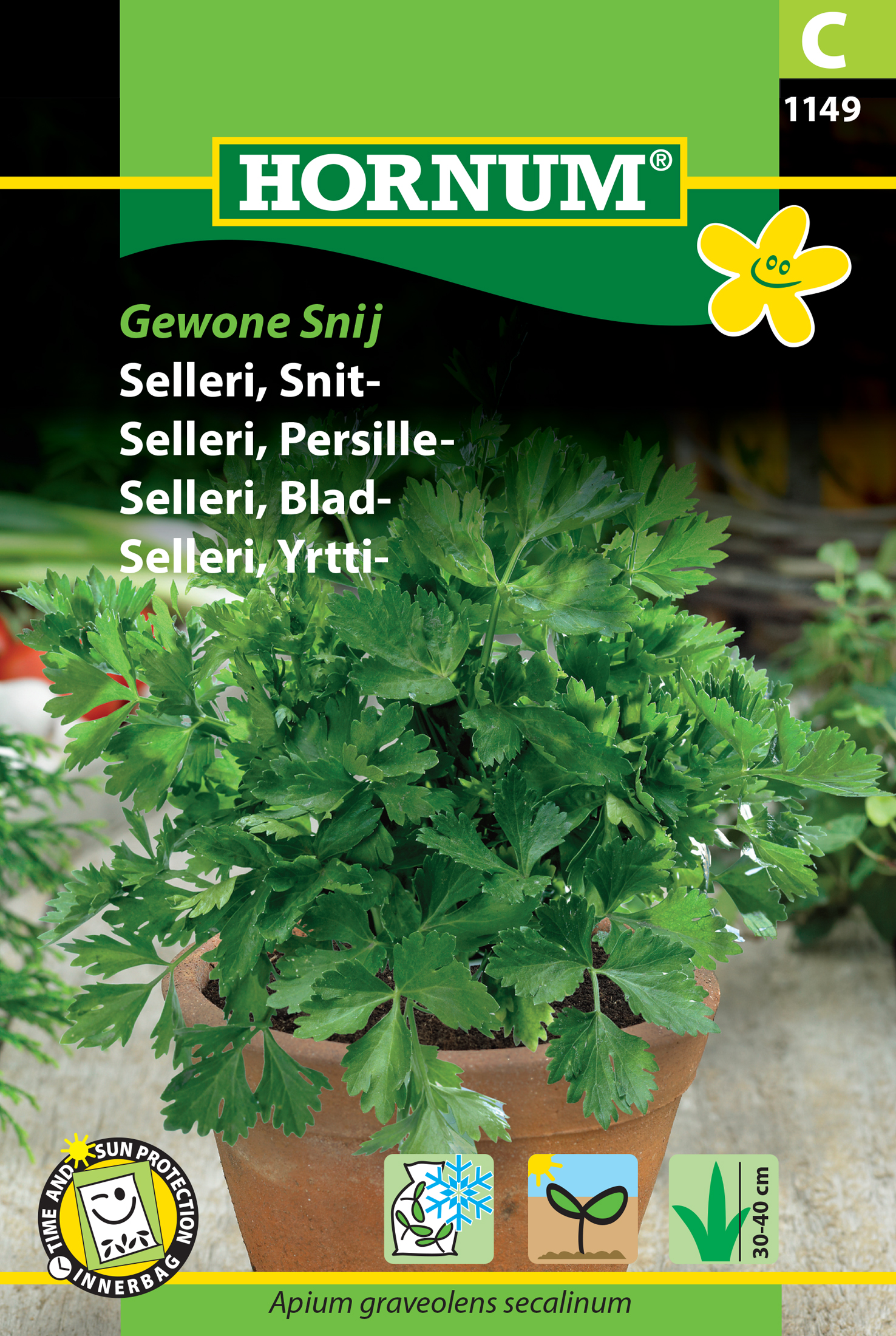 Fræ Sellerí Apium graveolens secalinum Gewone snij