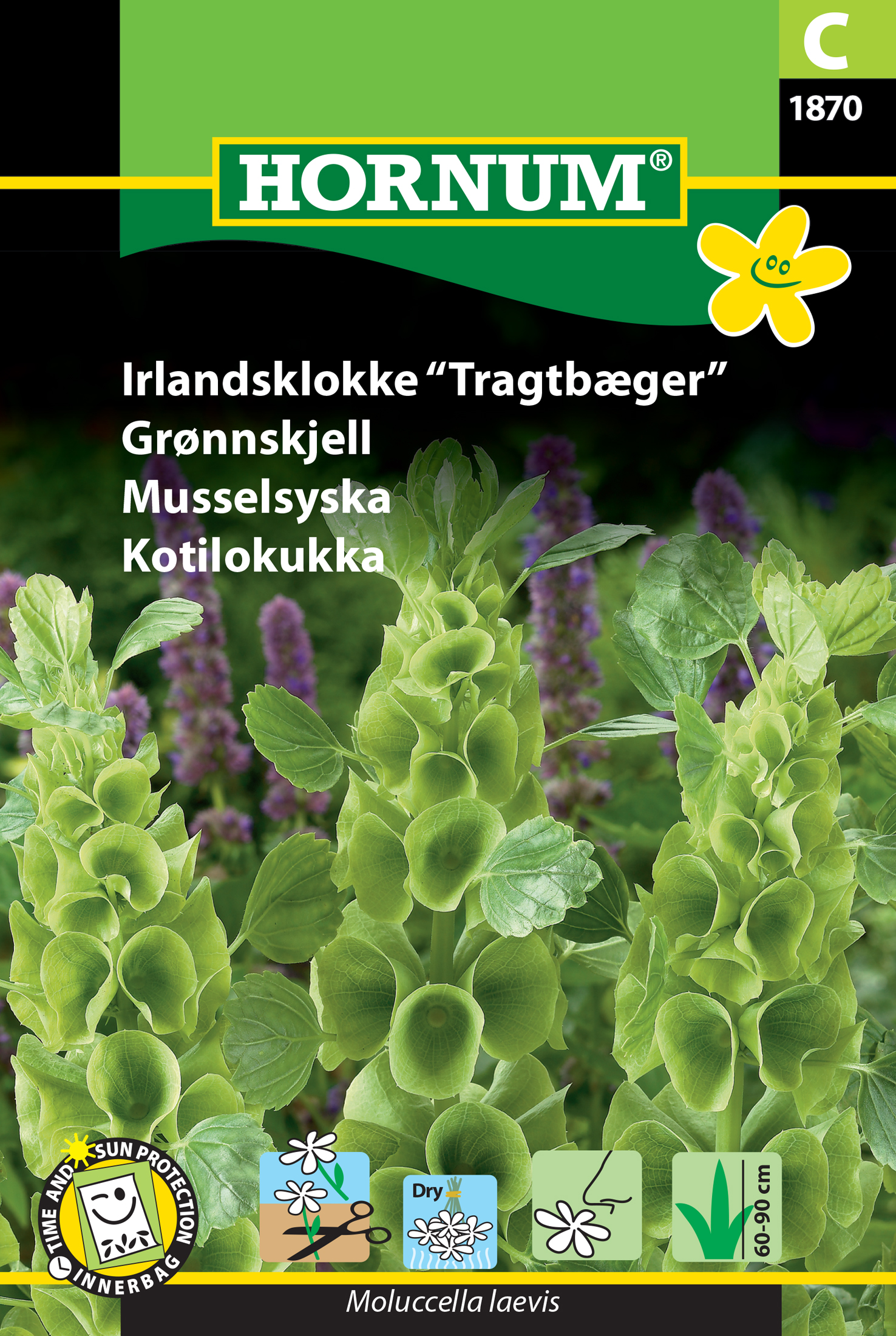 Fræ Írabjalla Molucella laevis