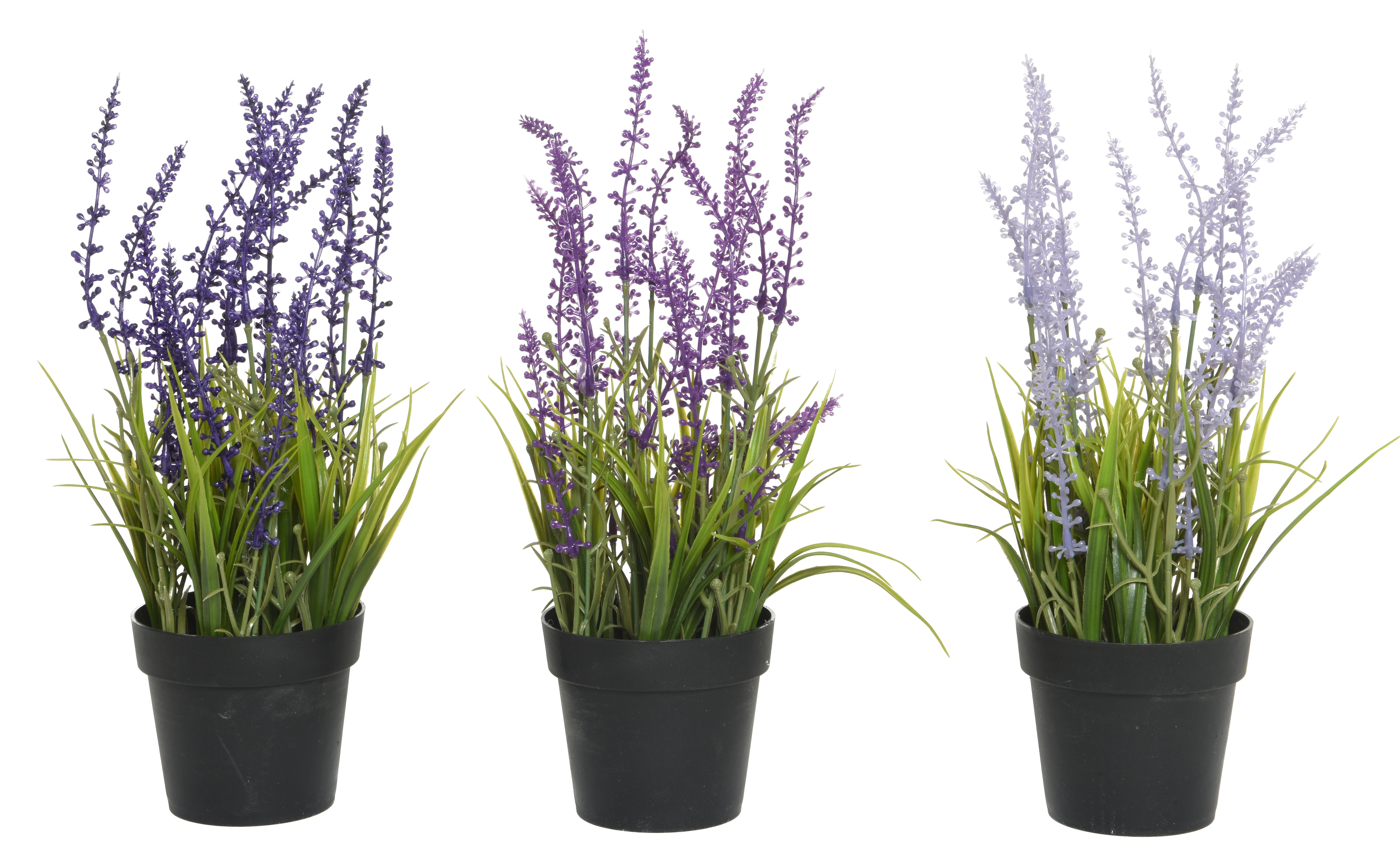 Gervi lavenderblóm í potti h30cm