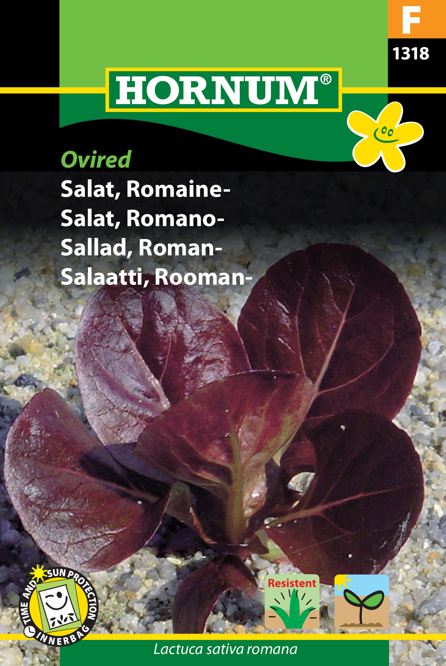 Fræ Rómverskt salat Lactuca sativa romana Ovired
