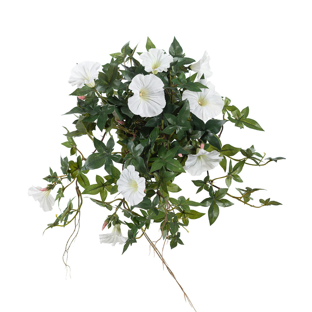 Gervi Ipomoea hvít í pt. 45cm