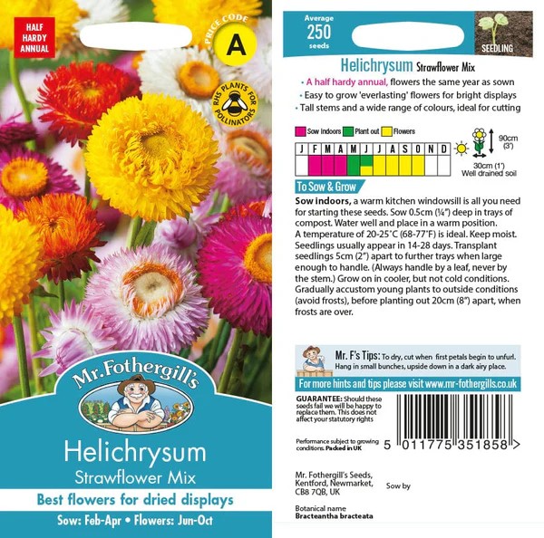 Fræ Helichrysum strawflower mix