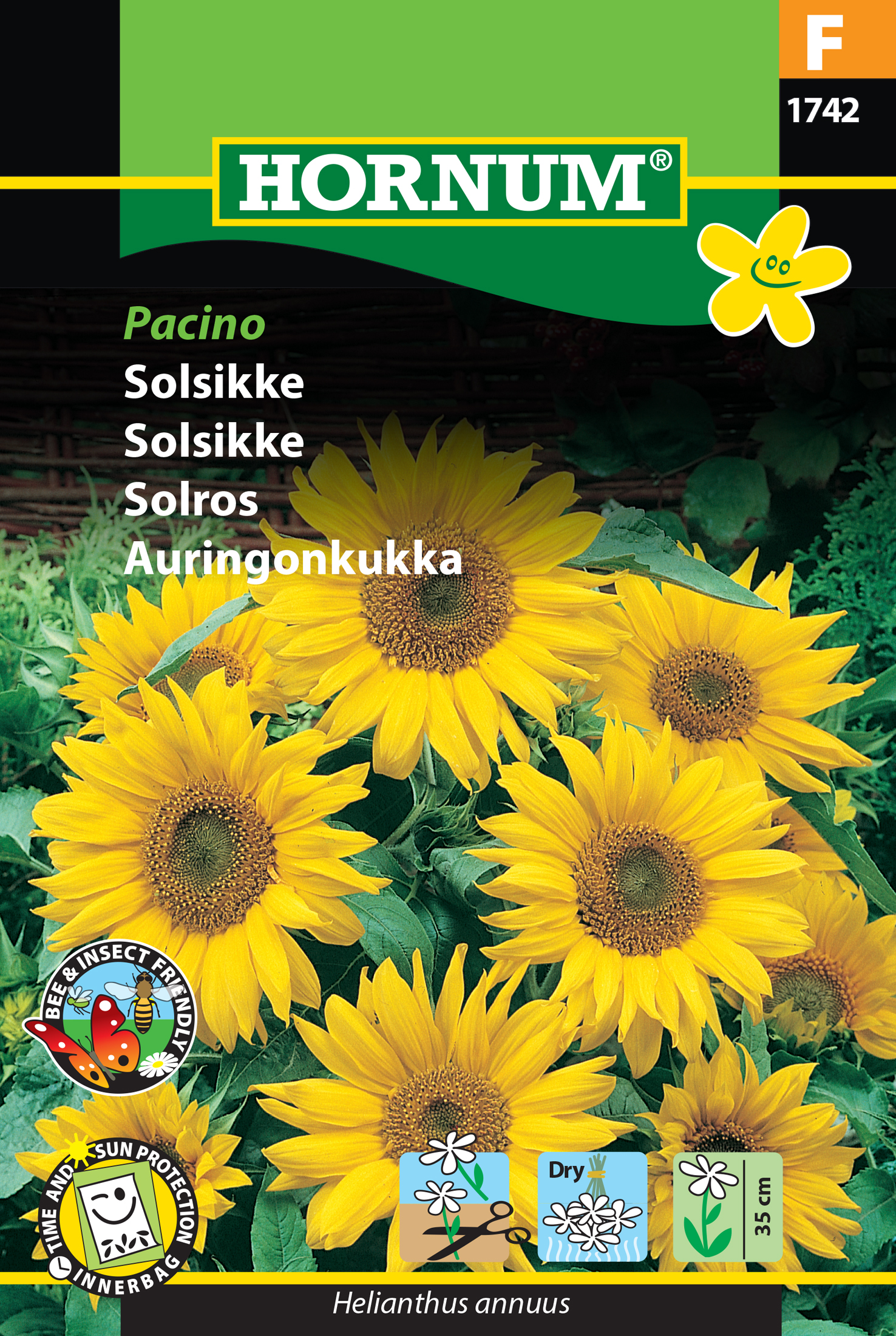 Fræ Sólblóm Helianthus annuus Pacino