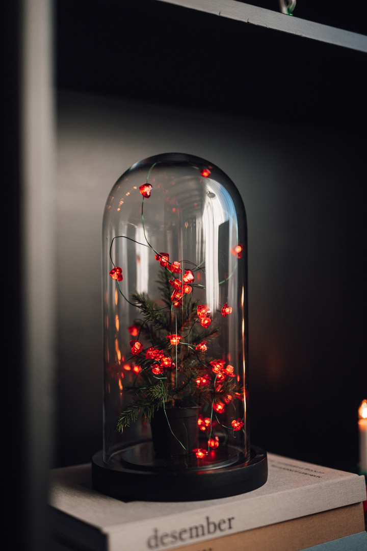 Rafhlöðusería 40micro LED hjörtu úti rautt