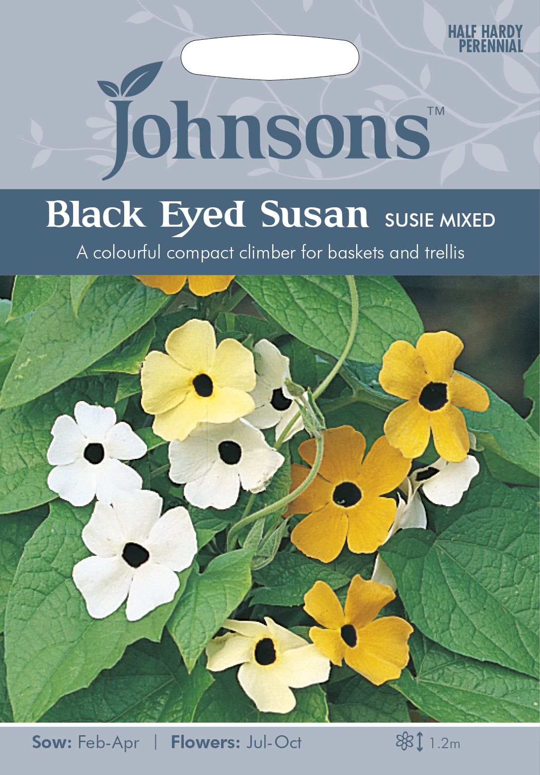 Fræ Black Eyed Susan Susie Mixed