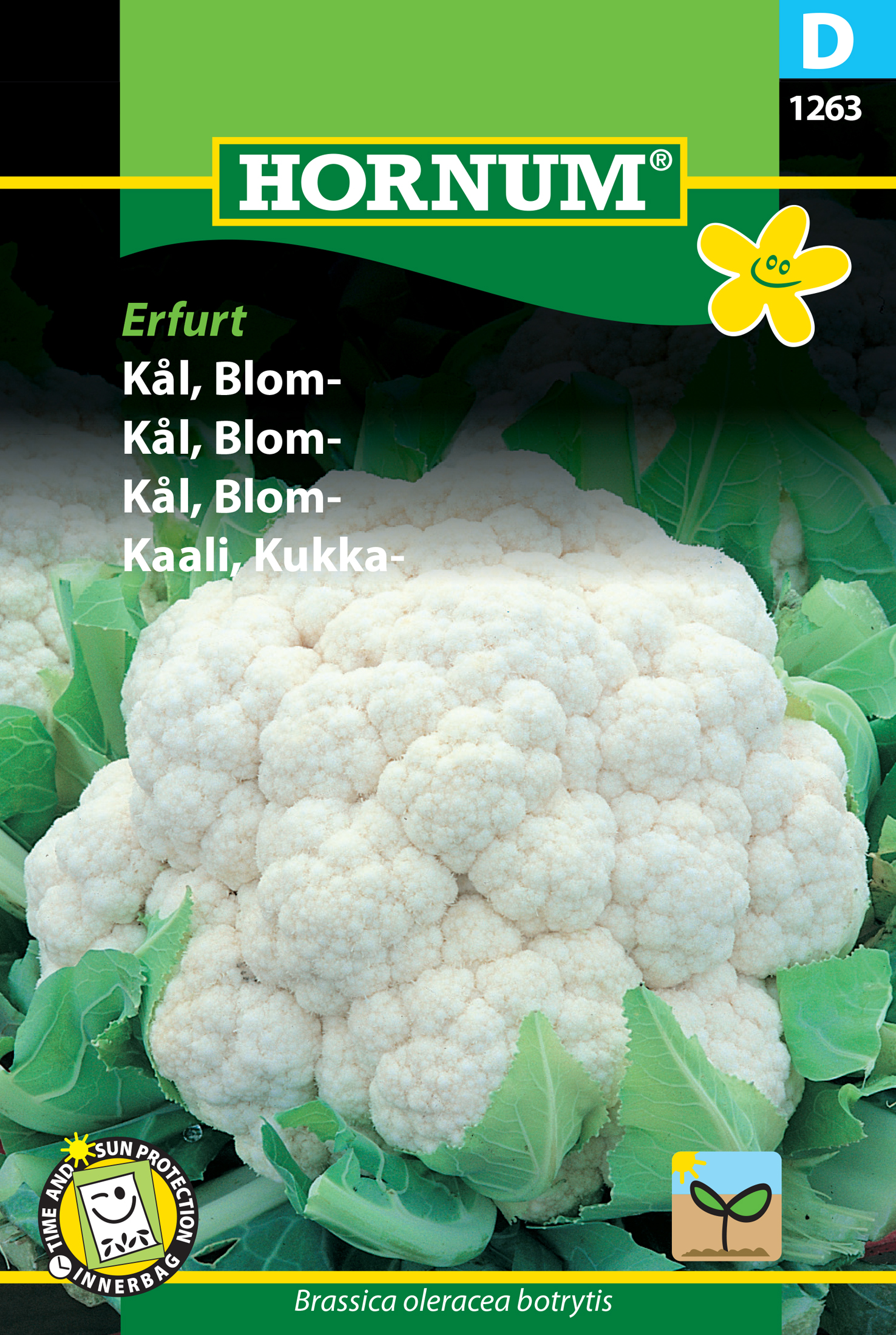 Fræ Blómkál Brassica oleracea botrytis Erfurt