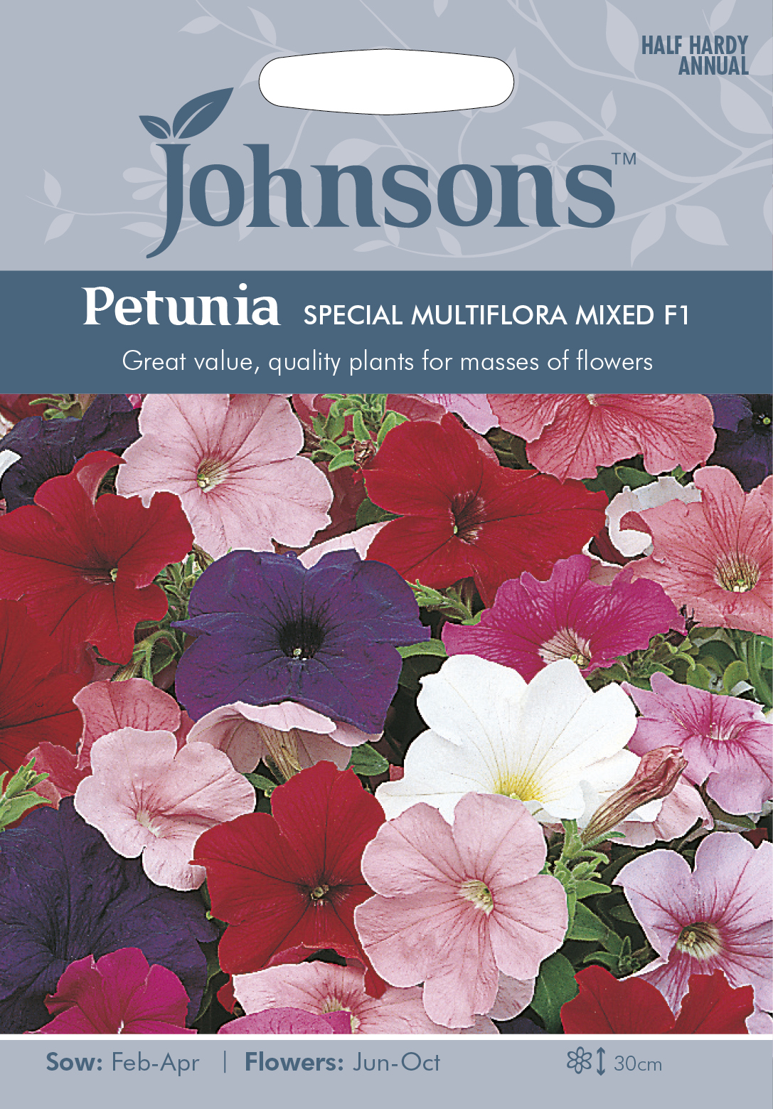 Fræ Petunia Special Multiflora Mixed F1