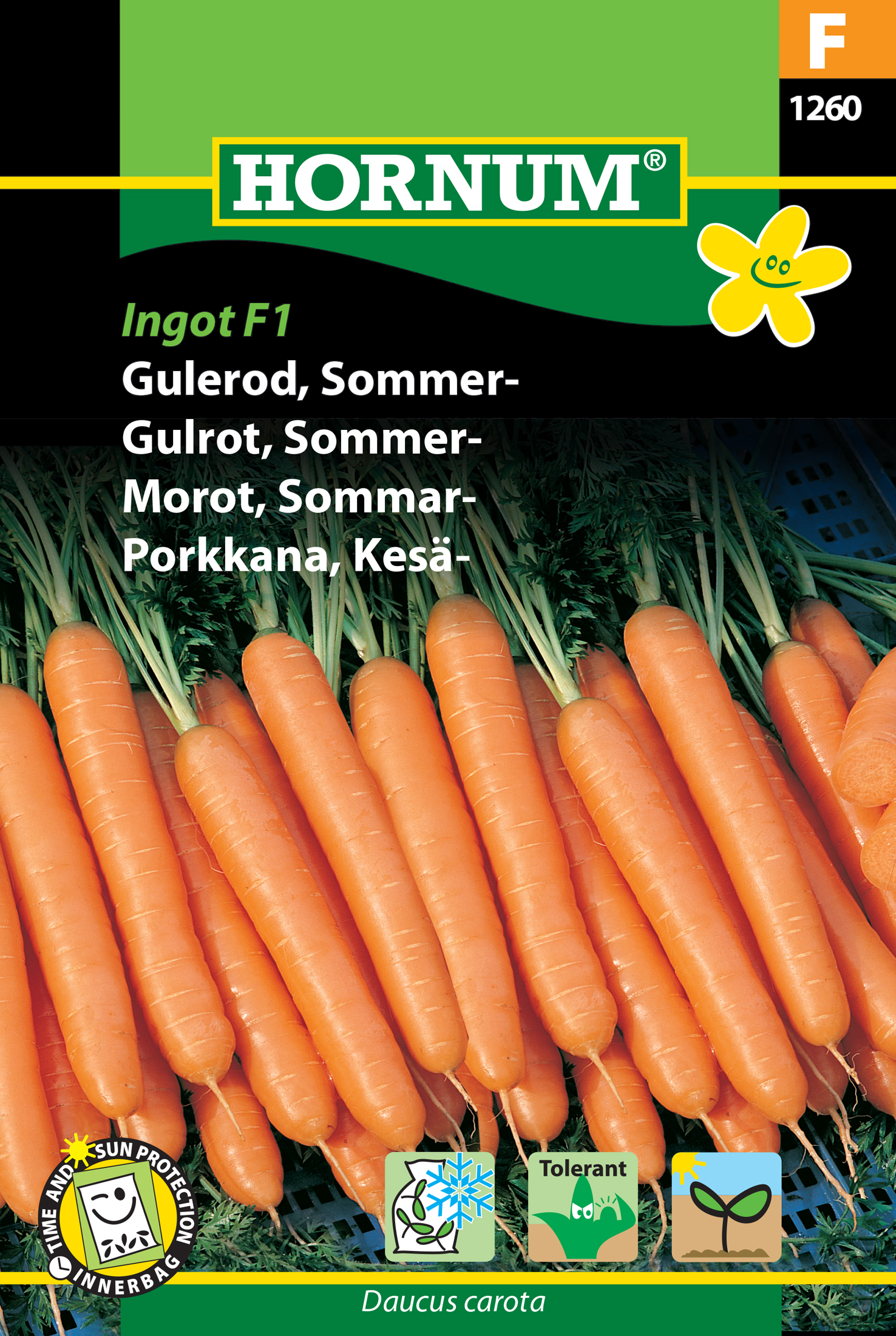 Fræ Gulrætur Daucus carota Ingot F1