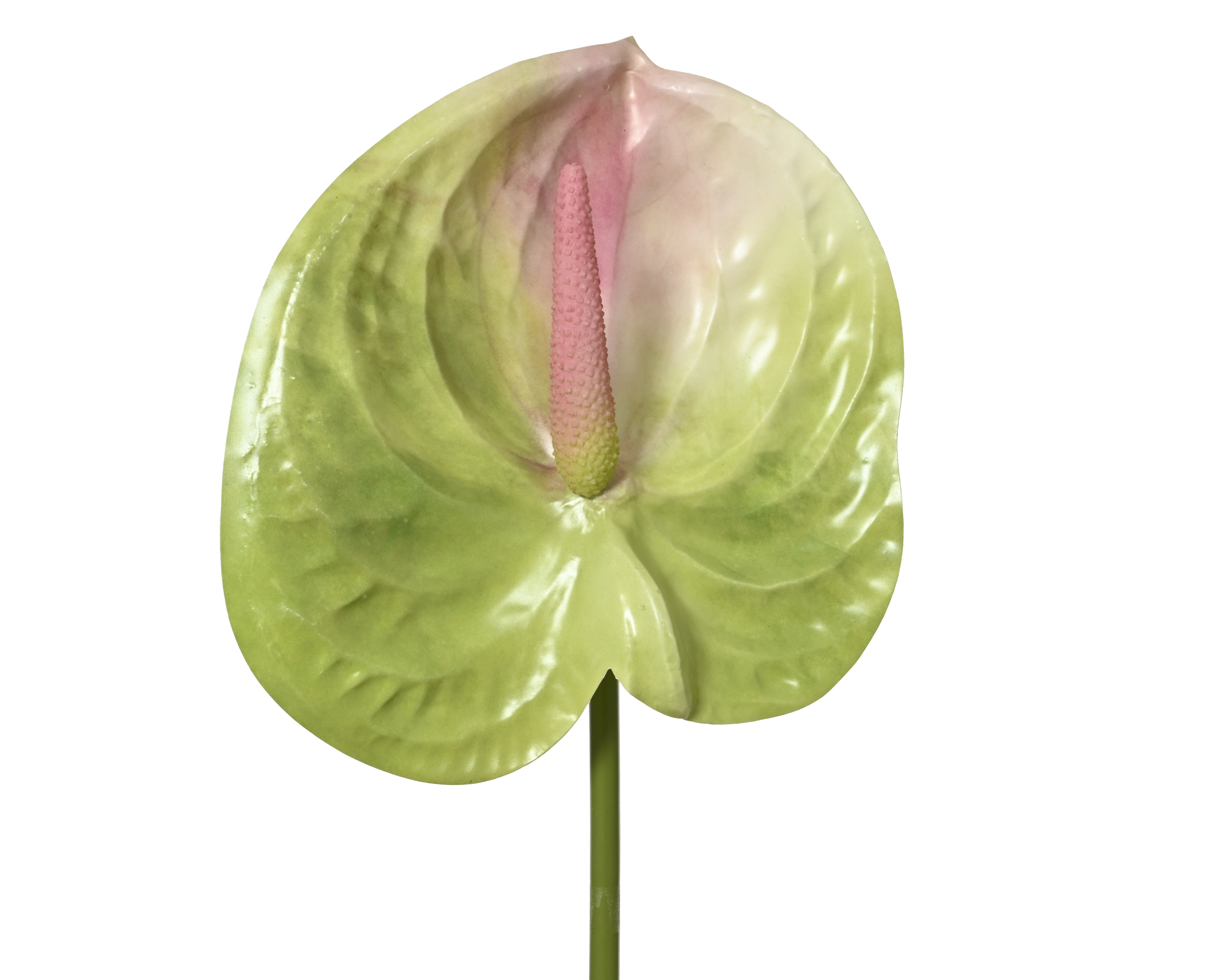 Gervi anthurium græn 67cm