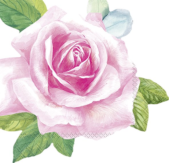 Servíettur BETH 33*33cm 12stk