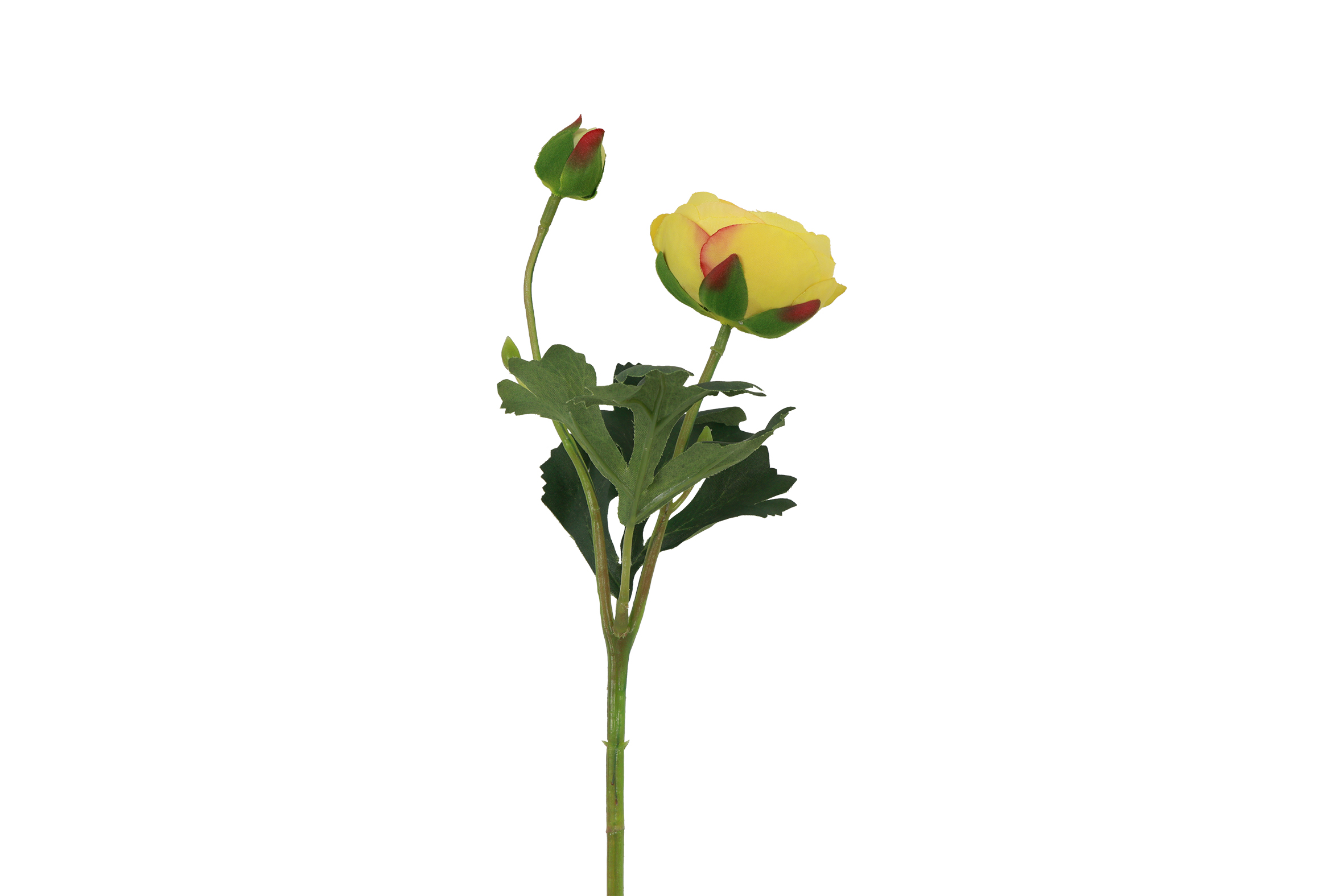 Gervi Ranunculus Isolde gul 34cm