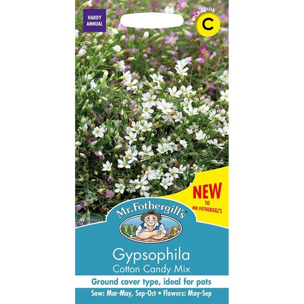 Fræ Gypsophila cotton candy mix