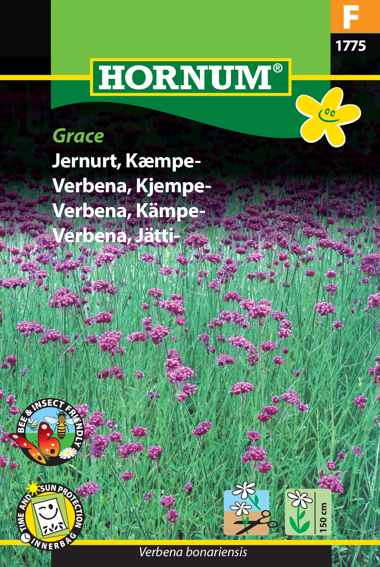 Fræ Járnurt Verbena bonariensis Grace
