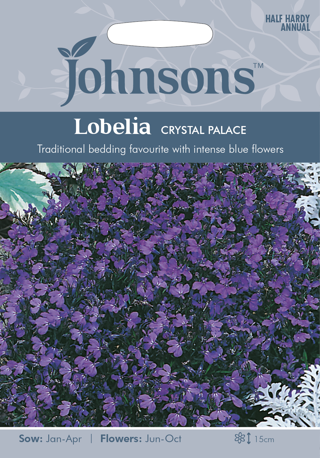 Fræ Lobelia Crystal Palace