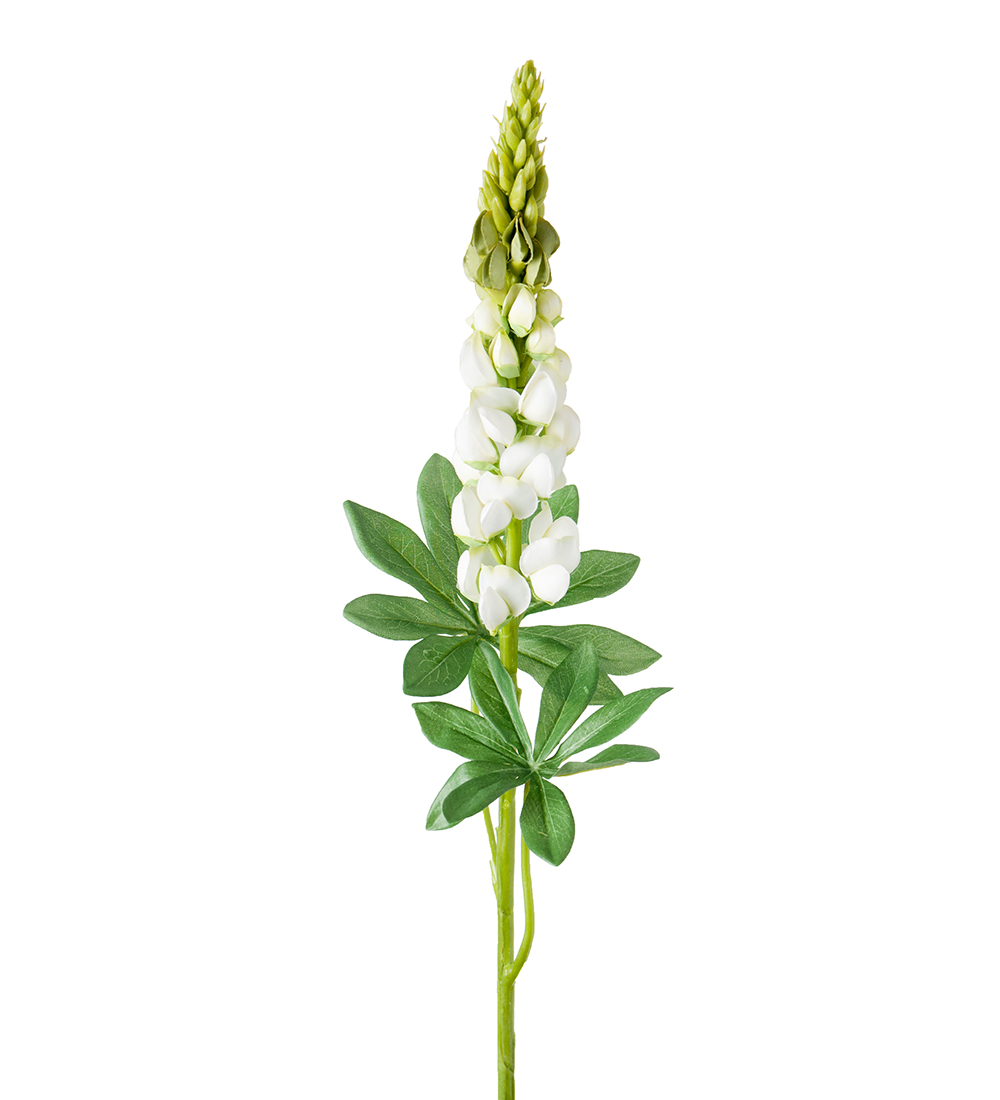 Gervi Lúpína 80cm hvít