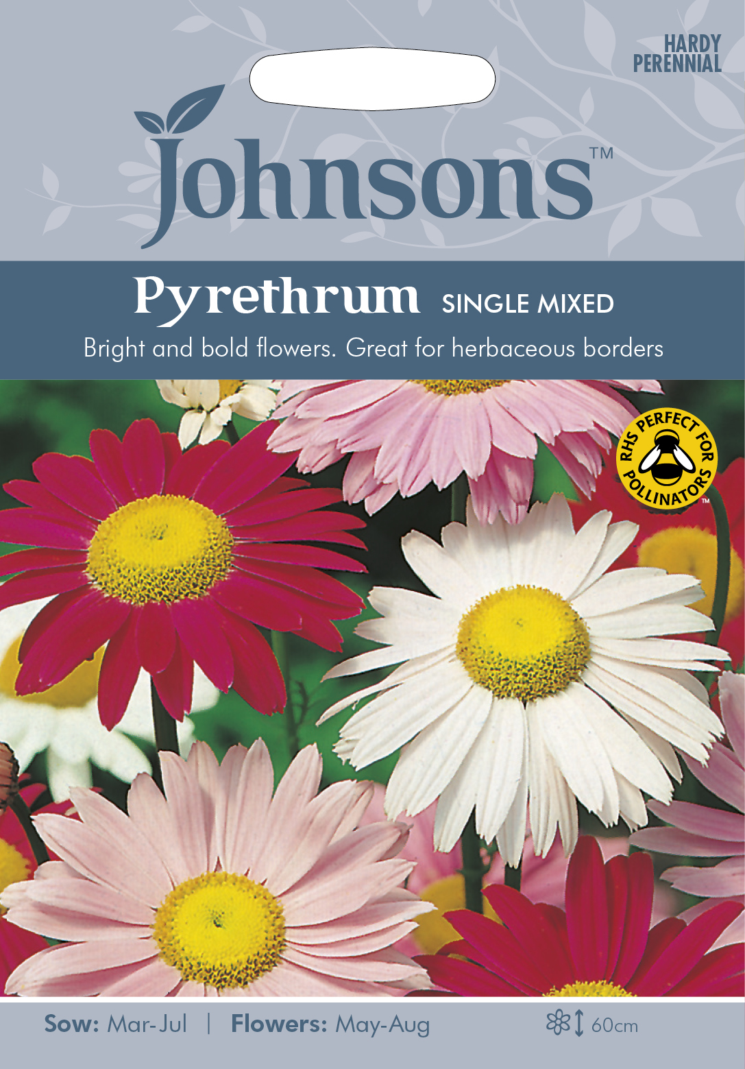Fræ Pyrethrum Single Mixed