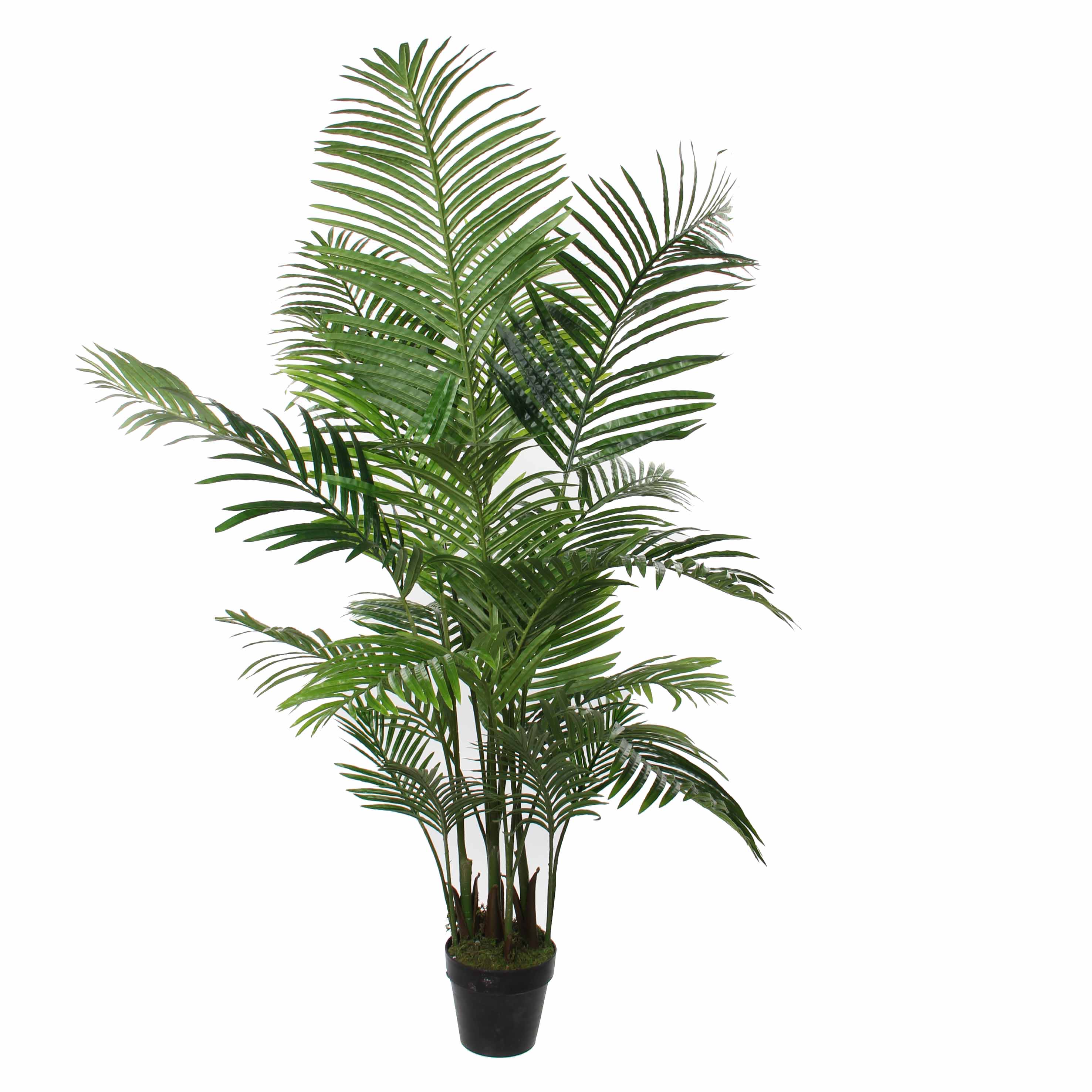 Gervi Areca í grænum potti H160*80cm