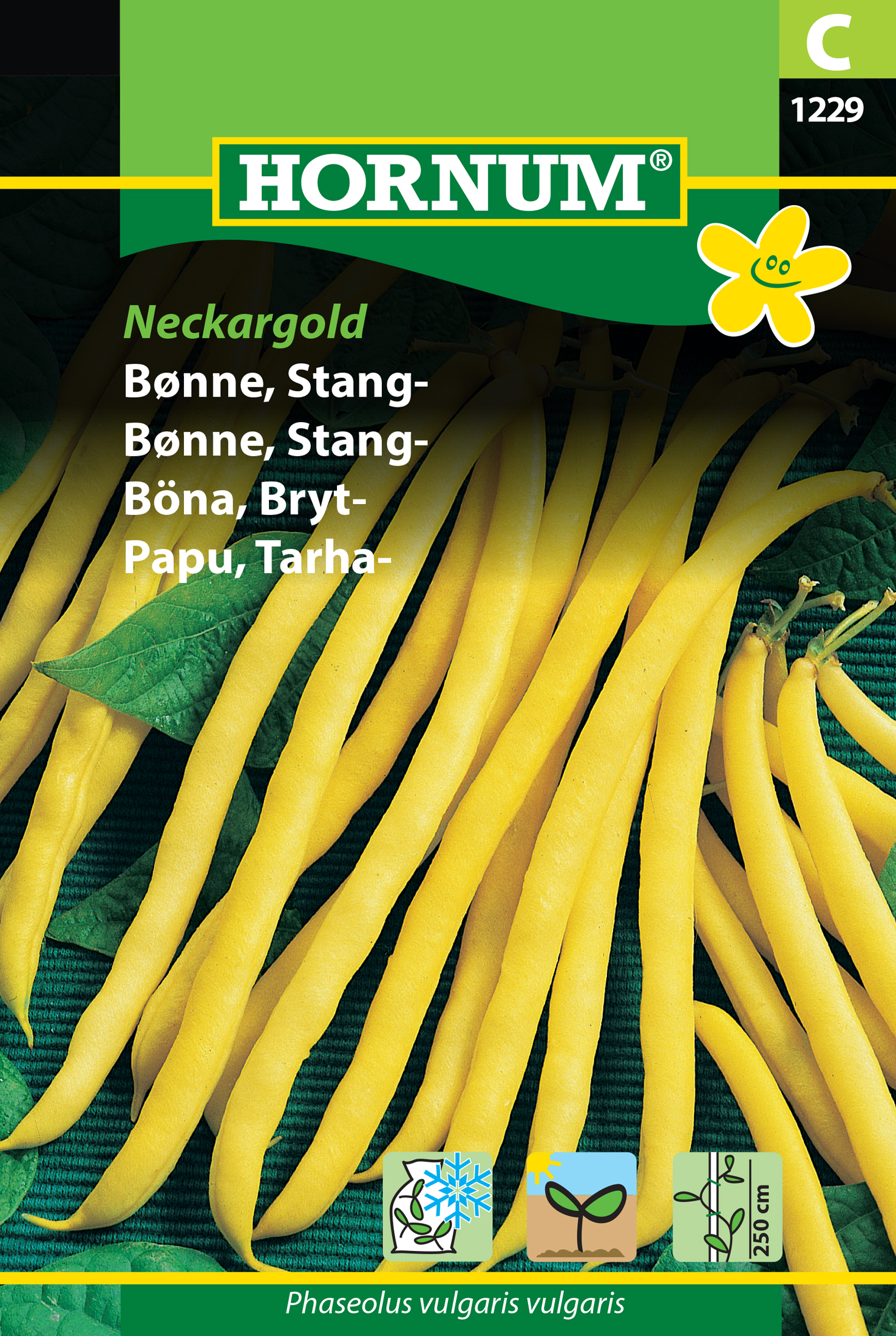 Fræ Matbaun Phaseolus vulgaris vulgaris Neckargold