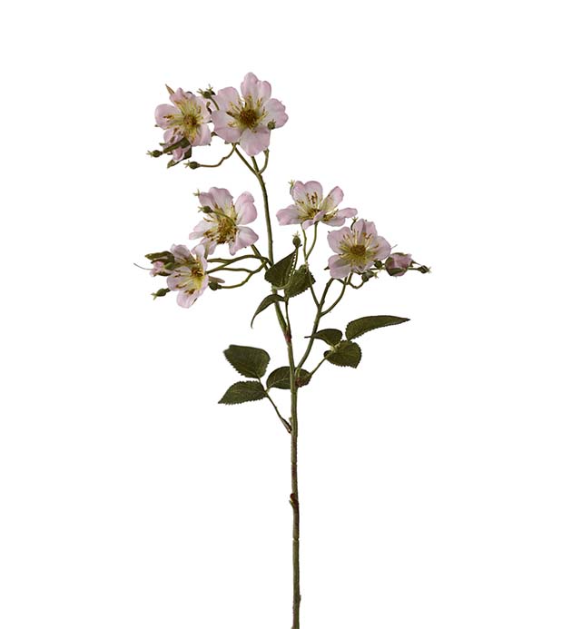 Gervi Japönsk Klettarós 65cm bleik