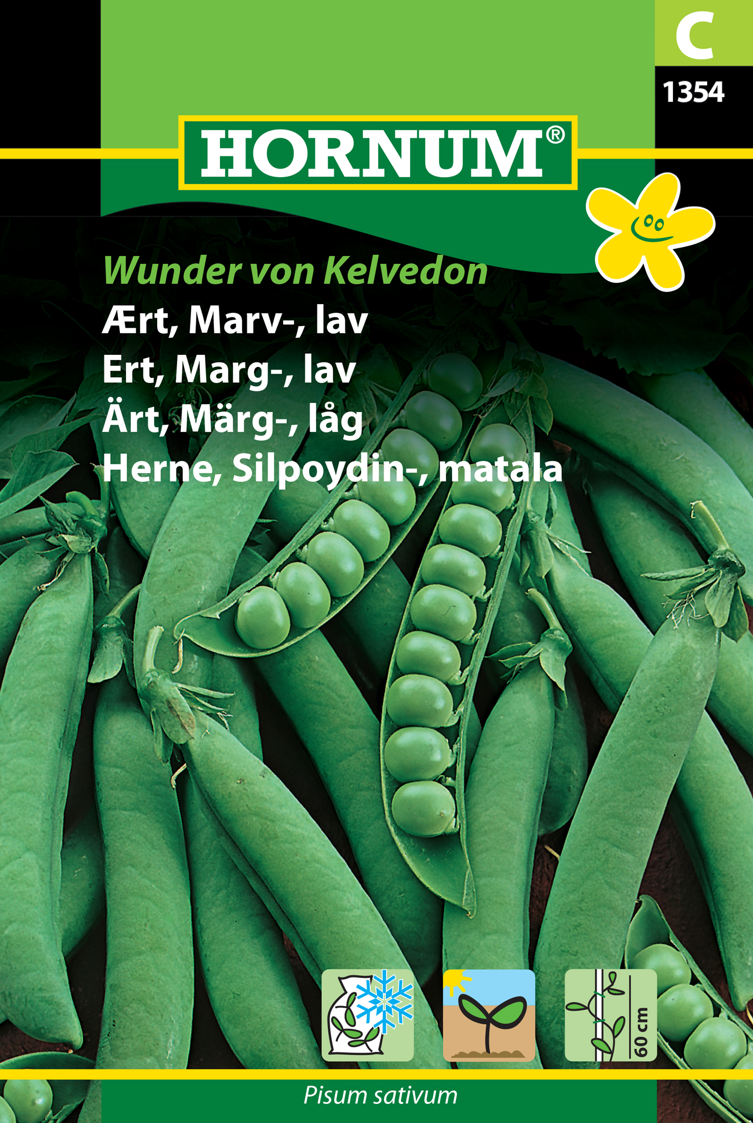 Fræ Ertur Pisum sativum Wunder von Kelvedon