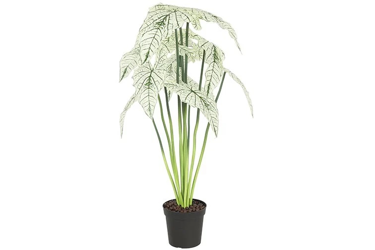 Gervi Alocasia 80cm hvít