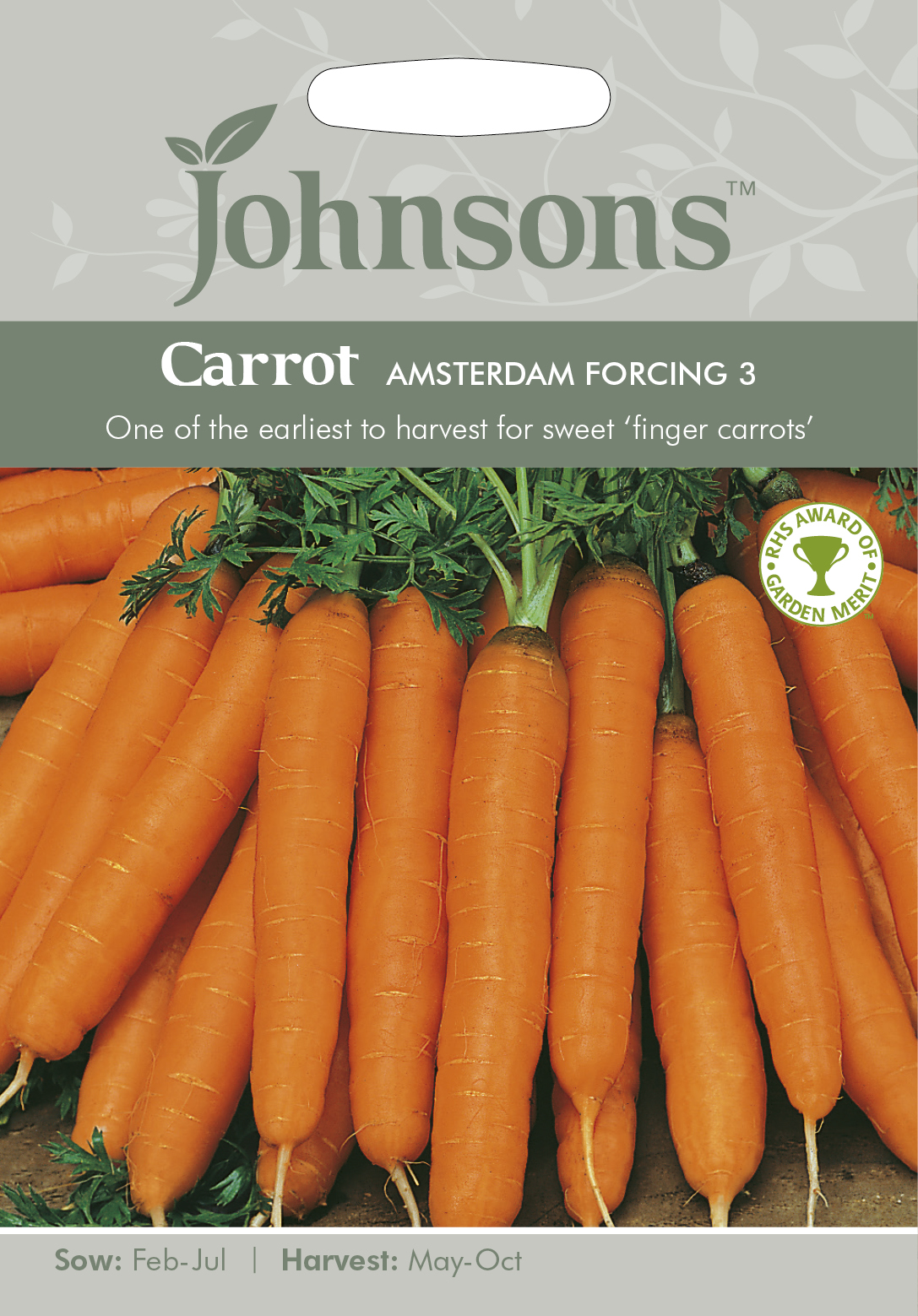 Fræ Carrot Amsterdam Forcing 3