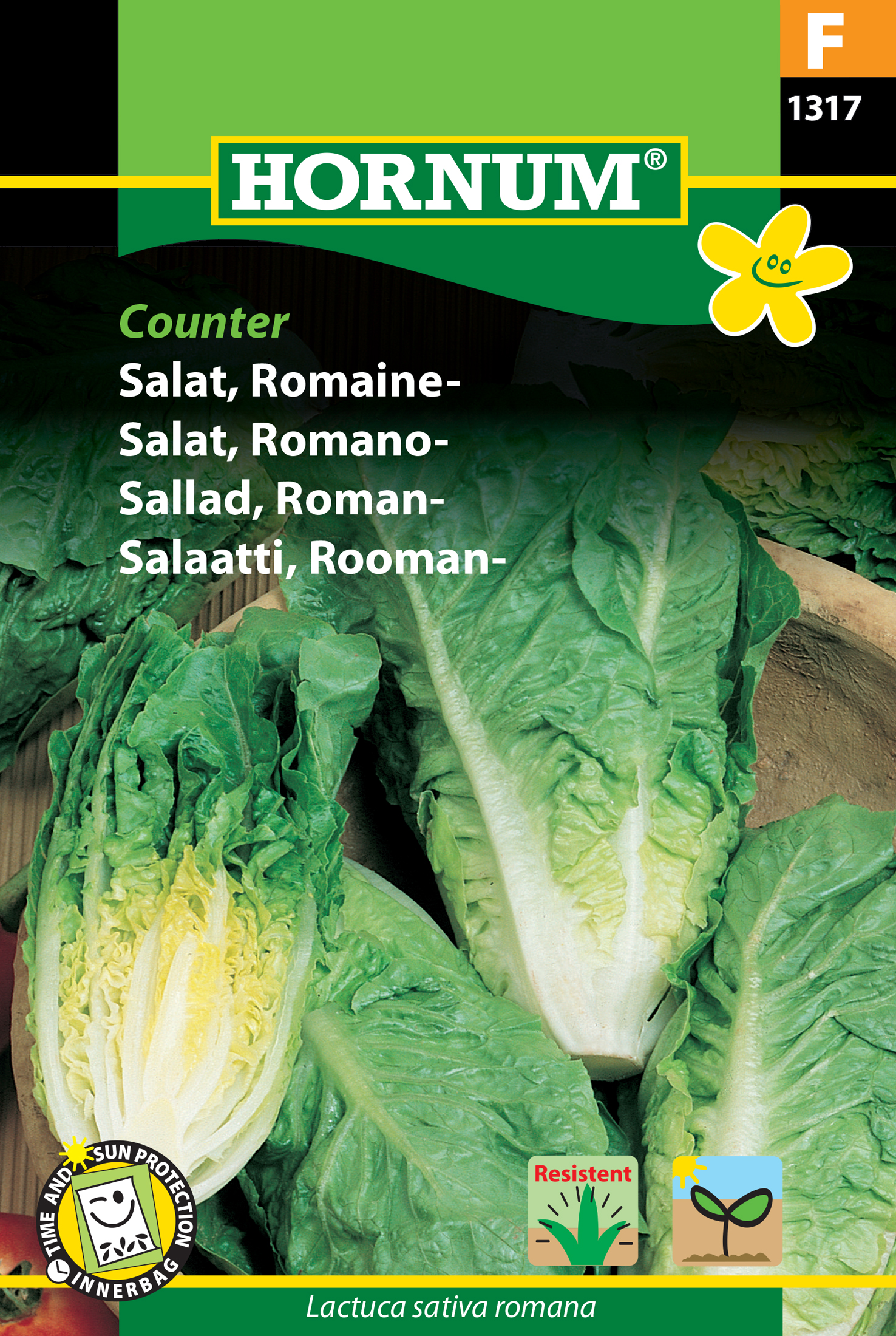 Fræ Rómverskt salat Lactuca sativa romana Counter
