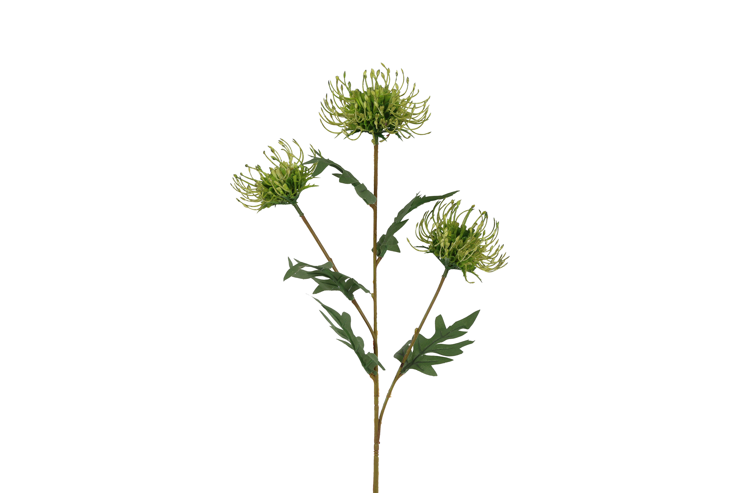 Gervi Protea 71cm grænn