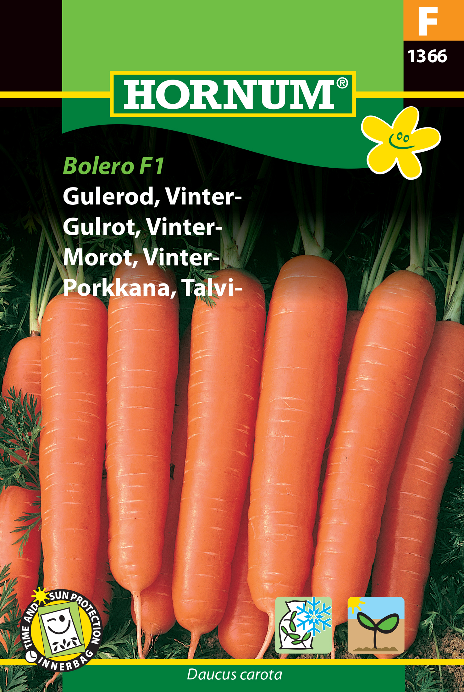 Fræ Gulrætur Daucus carota Bolero F1