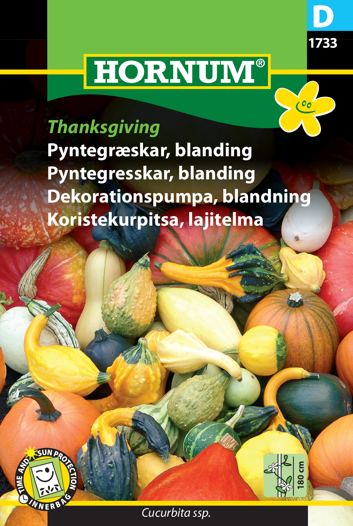 Fræ Grasker Cucurbita ssp Thanksgiving