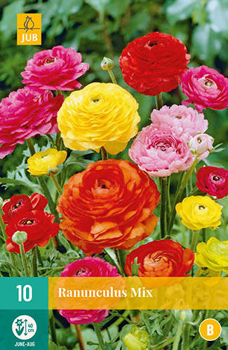 Ranunculus Mix VJ 10stk. 6/7