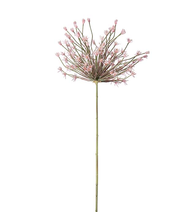 Gervi Allium 125cm rosa