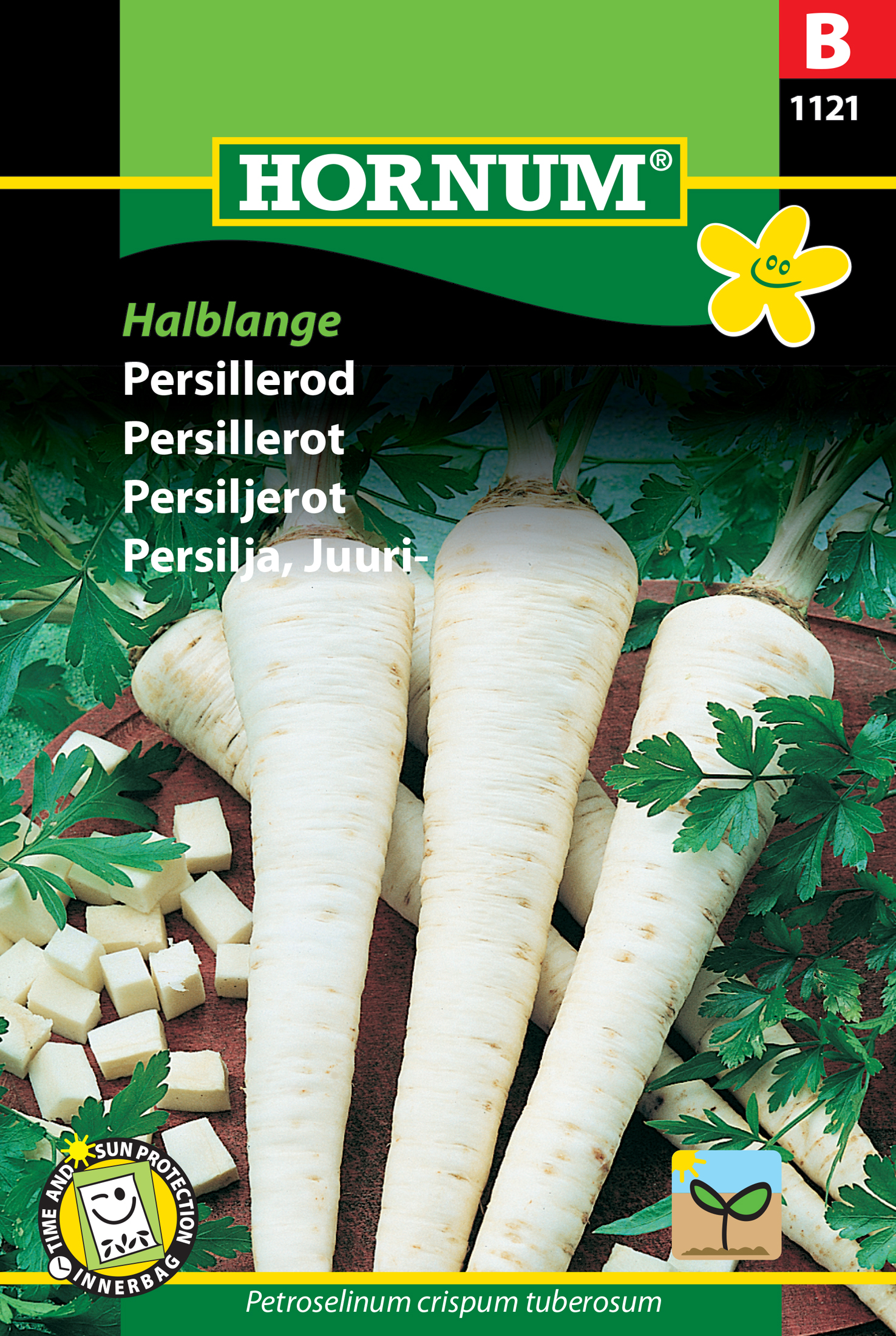 Fræ Seljurót Petroselinum crispum tuberosum Halblange