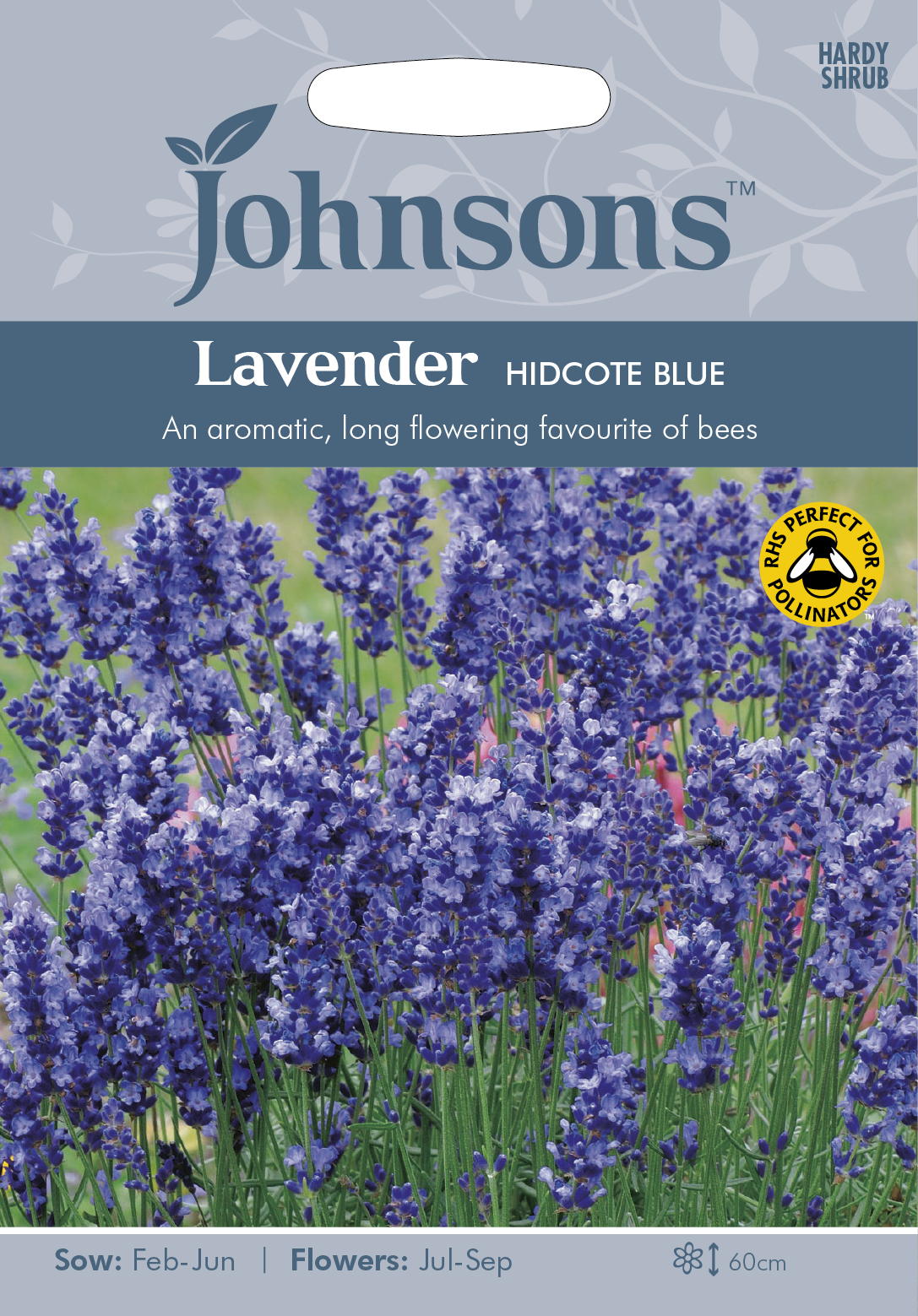 Fræ Lavender Hidcote Blue