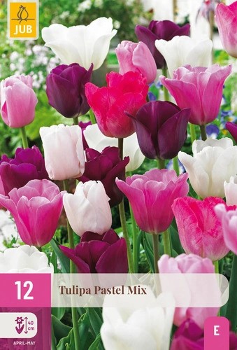 Tulipa Pastel Mix 12stk. 11/12