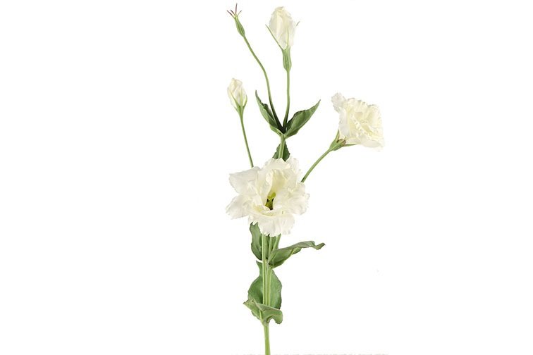 Gervi Lisianthus 94cm hvítur