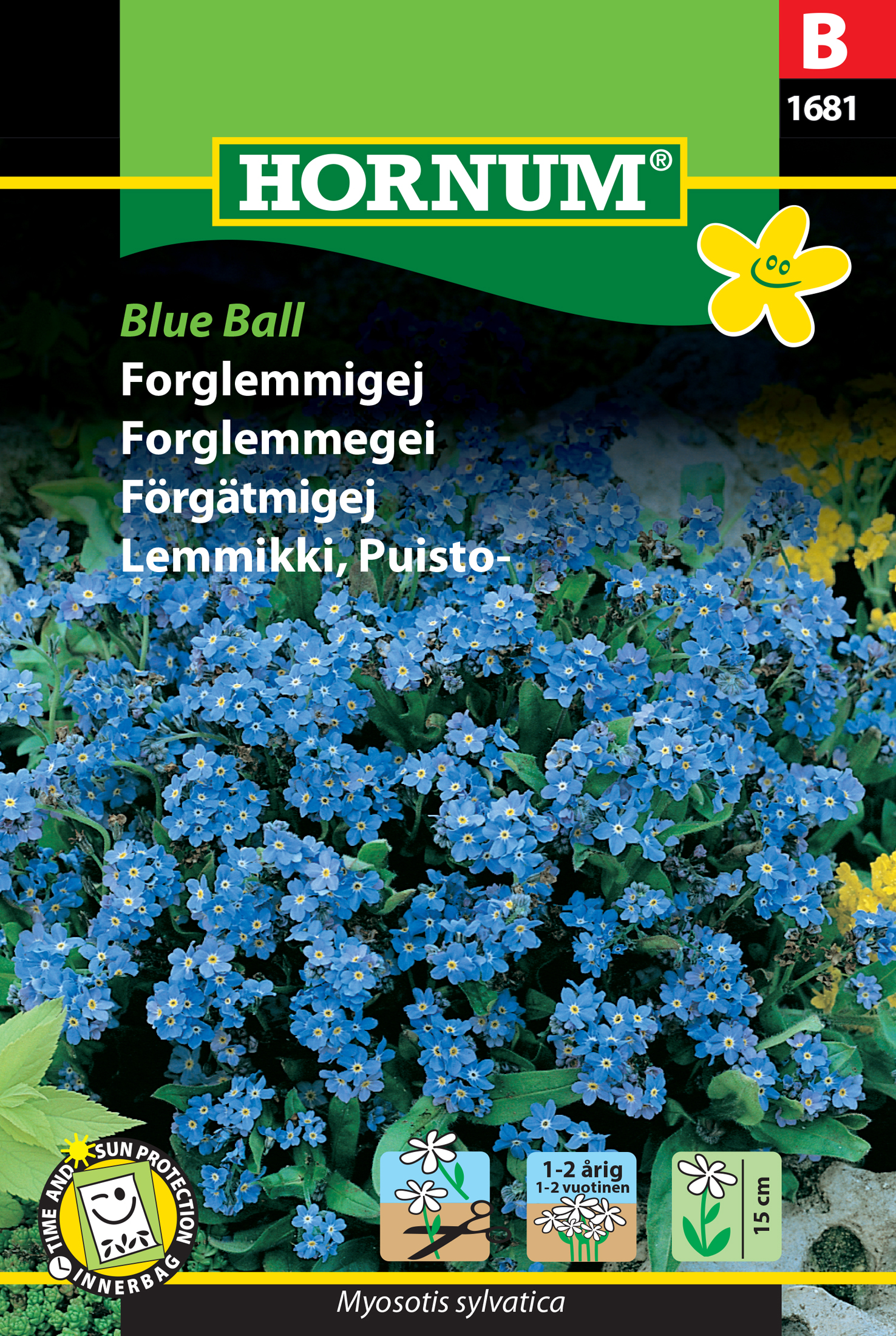 Fræ Garðmunablóm Myosotis sylvatica Blue Ball