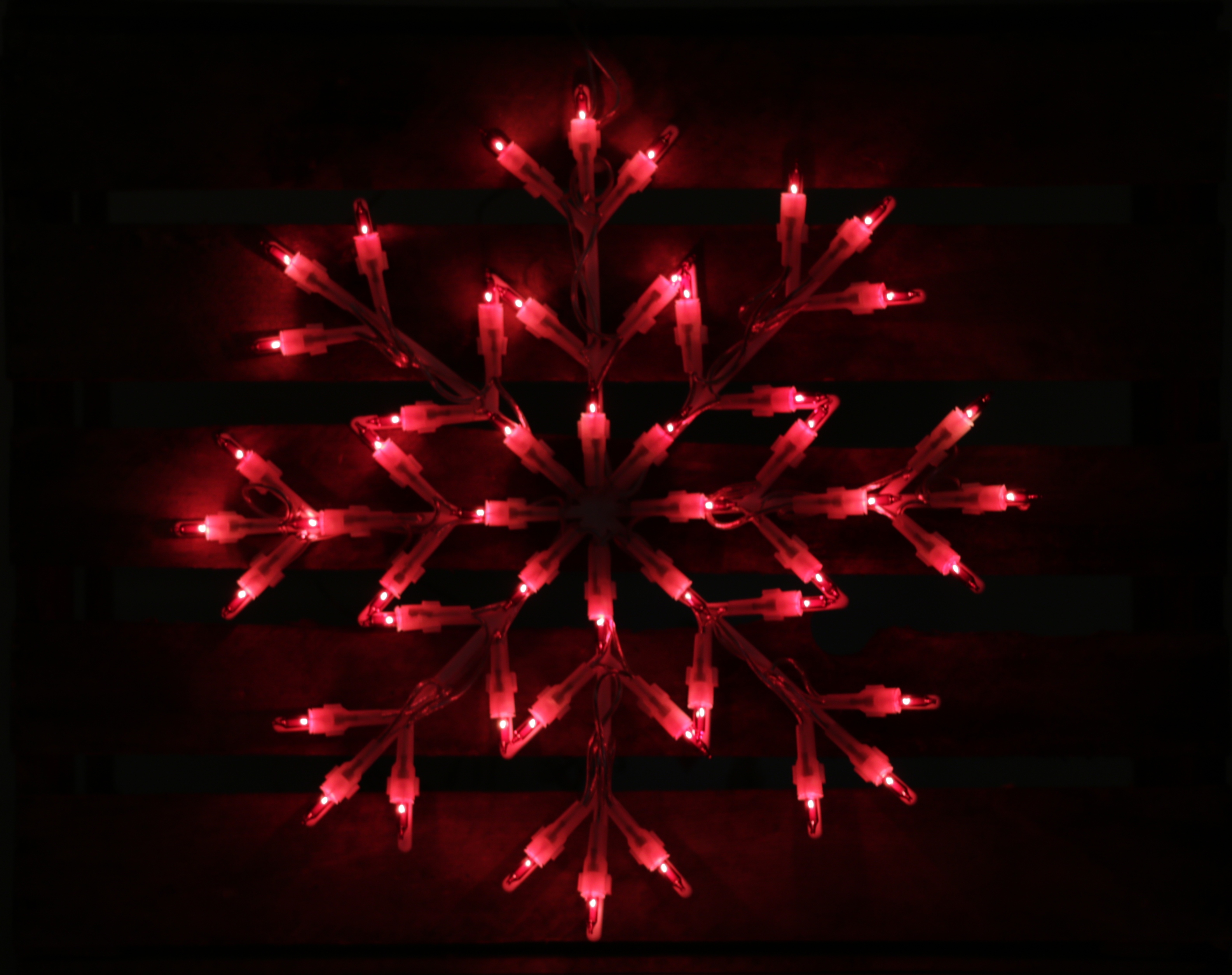 Gluggaljós Frostrós rauð 50 ljósa Danson