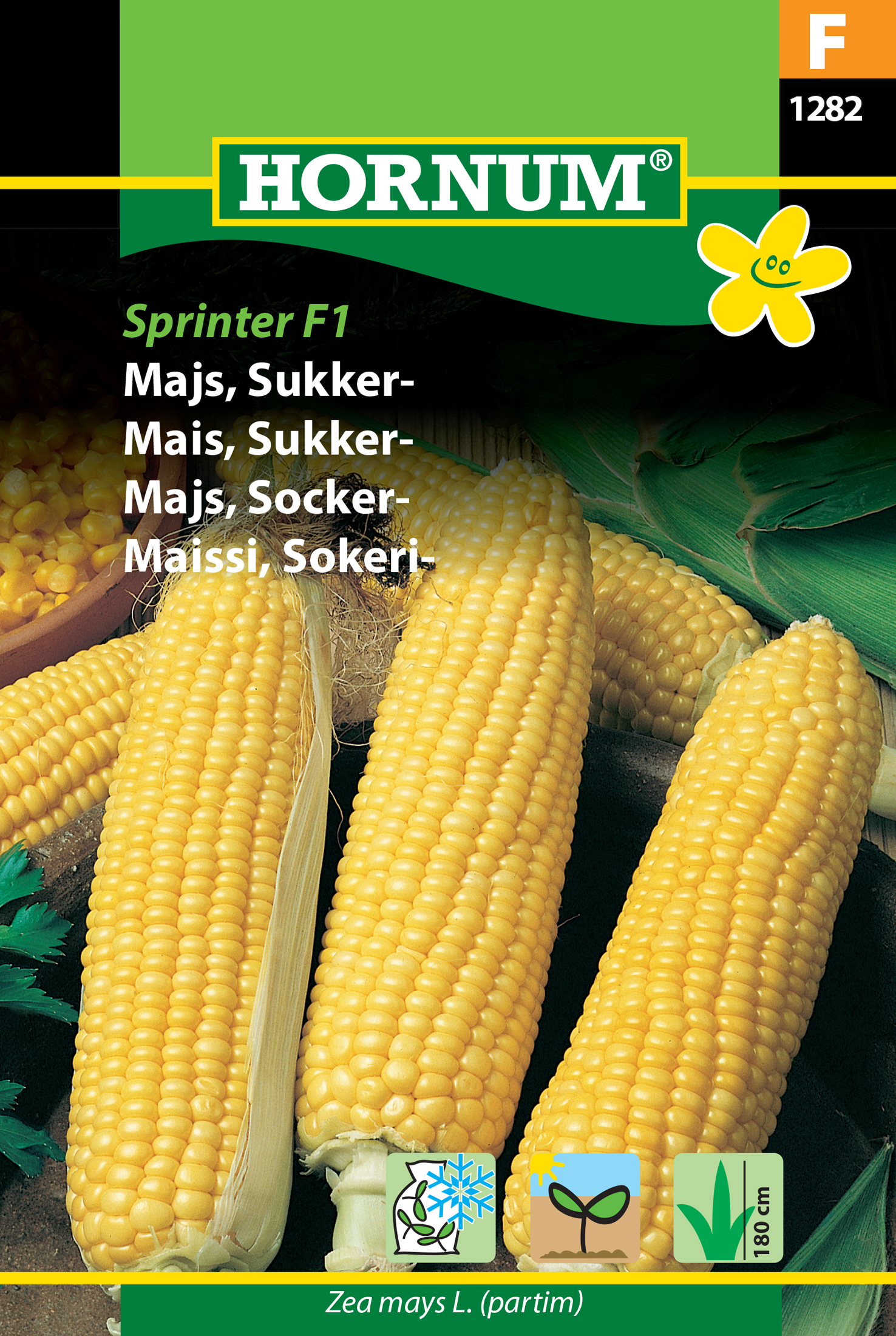 Fræ Maís Zea mays L. partim Sprinter F1